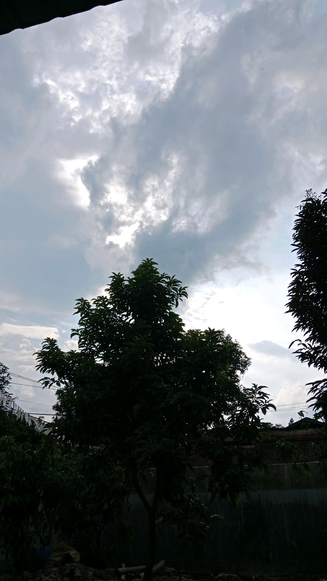 The image depicts an outdoor scene with silhouetted trees against a cloudy sky. In the foreground, a tree with dense foliage stands centrally, its branches reaching upwards. To the right, another tree's foliage is partially visible. The background features a somewhat overcast sky with bright patches of sunlight breaking through the clouds. Below the trees, a dark, undefined area suggests ground or lower vegetation. A faint horizontal line, possibly a fence or wall, is visible behind the central tree. The scene appears to be a natural or semi-urban environment with vegetation. The specific location in Medan Senembah, Indonesia, is not visually discernible from the image itself. There are no people or animals present.