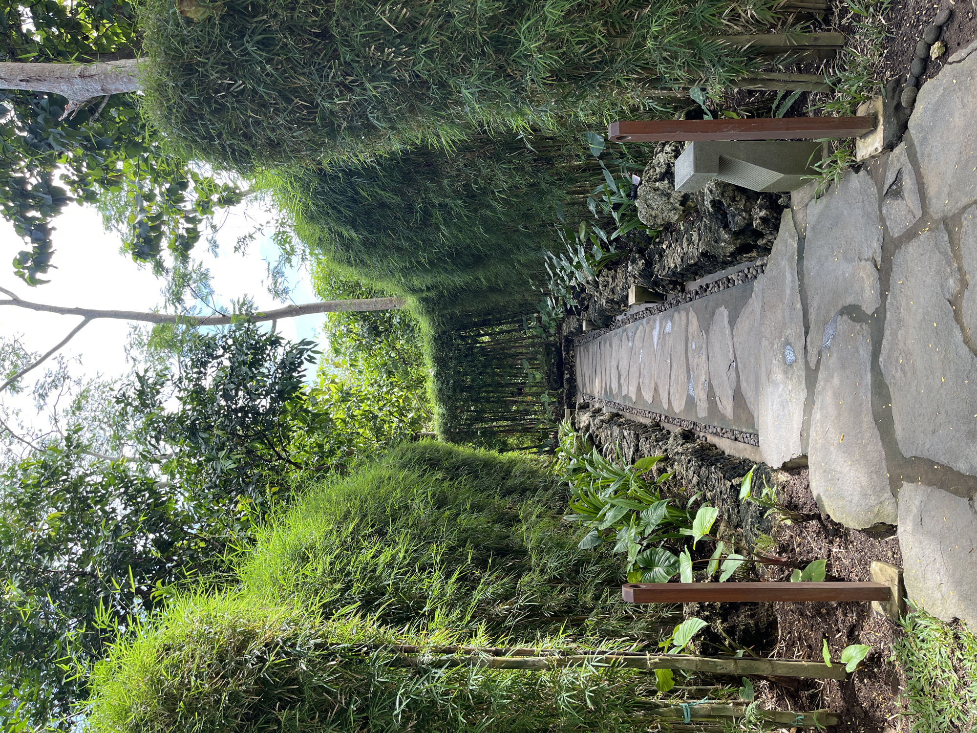 A stone path cuts through a narrow tunnel of dense greenery, potentially in Kuta Selatan, Indonesia. The path consists of large, irregularly shaped stones. The tunnel's walls are formed by tall, thick grass or bamboo. A line of wooden posts follows the path on both sides. A stone bench sits on one side of the path. Lush foliage fills the spaces between the path and the grassy walls. Overhead, trees with green leaves are visible against a bright sky. The image is rotated 90 degrees counterclockwise.