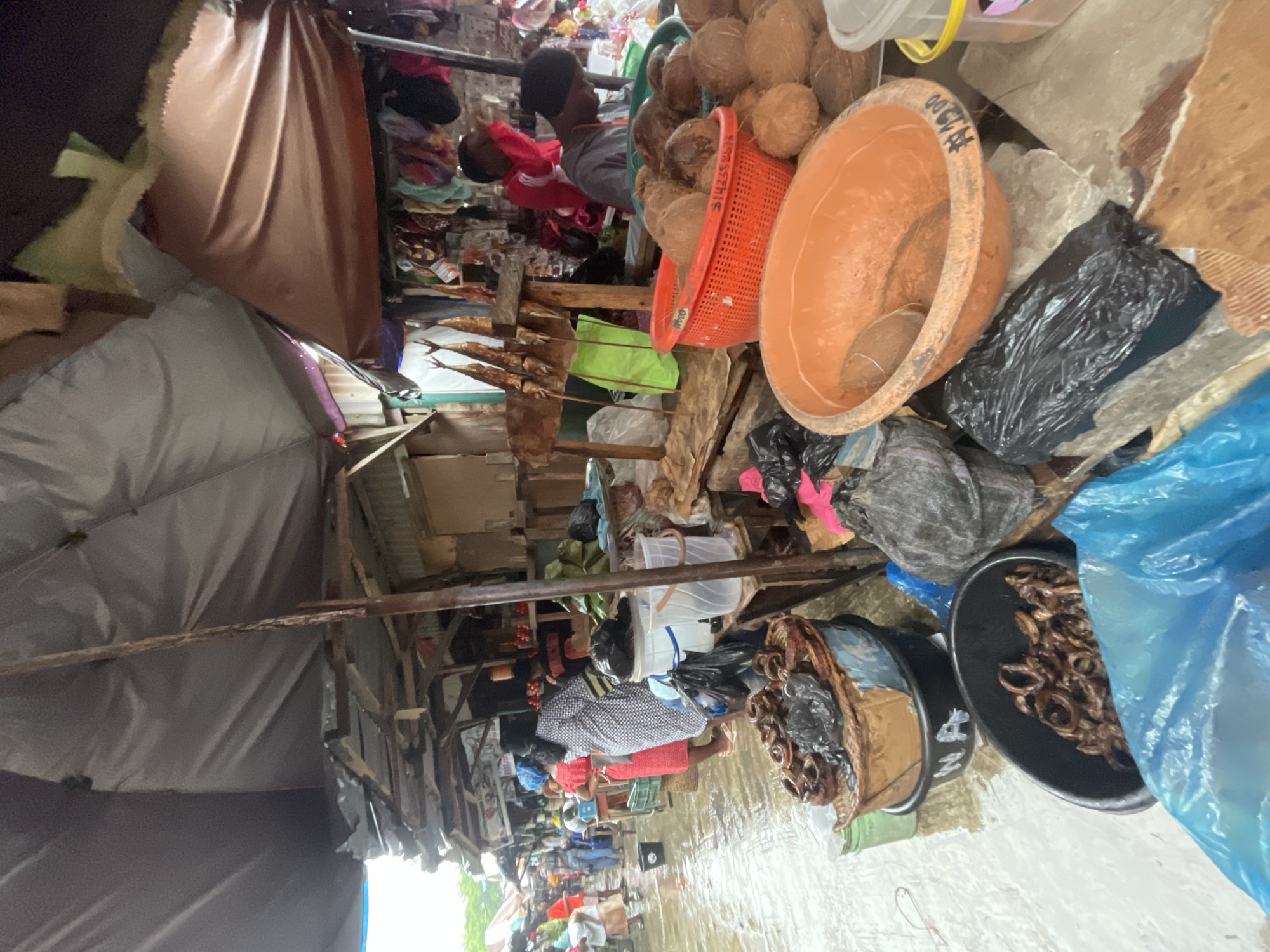 The image depicts a bustling marketplace in Ado, Nigeria, possibly a flooded area. The scene is densely packed with vendors and customers navigating through the watery ground. Stalls display a variety of goods, including coconuts, smoked fish on sticks, and items in baskets and plastic bags. Clothing and other wares are visible in the background. The market is sheltered by makeshift structures, with tarps and wooden supports overhead. The environment is crowded and appears somewhat chaotic due to the presence of water and the close proximity of the vendors.