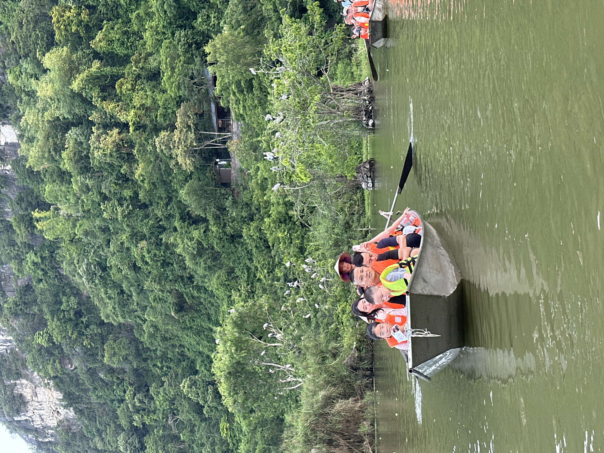 In Yên Sơn Ward, Vietnam, a group of people are enjoying a boat ride on a tranquil river surrounded by lush green mountains. The boat, a small aluminum vessel, carries several individuals, including children wearing life vests, indicating a recreational activity. A woman in the front of the boat wears a traditional conical hat. In the background, a dense forest covers the mountainous terrain, with some trees growing out of the water and large congregations of white birds perched on their branches. Another boat is visible in the distance, also carrying passengers. The water is calm and reflects the overcast sky and the surrounding greenery.