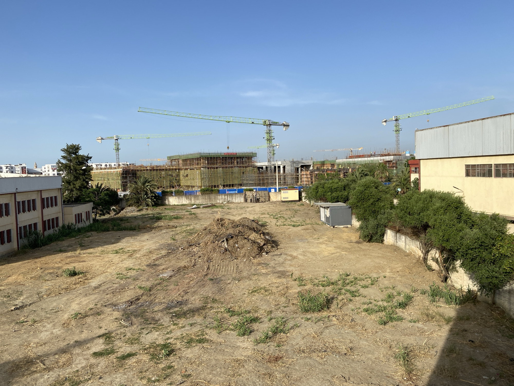 The image shows a construction site in Baraki, Algeria, under a clear blue sky. Multiple green tower cranes are visible, some in operation, with construction materials and scaffolding on several buildings in various stages of development. In the foreground, a large pile of dirt and debris sits on a patch of dry, uneven ground with sparse vegetation. To the left, a cream-colored building with red-trimmed windows stands alongside a darker structure. To the right, a light-colored building with a corrugated metal roof is partially visible, bordered by dense green trees and shrubs. A small gray utility structure is situated in the middle ground. The overall scene depicts an active construction zone within an urban environment.
