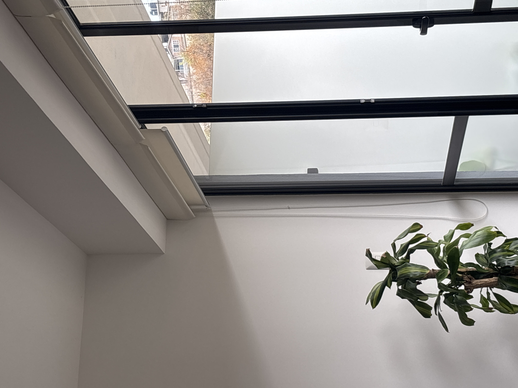 An interior view looking up at a window and part of a wall. The window has a black frame and is divided into panes. Outside, a blurry building and some trees are visible. Part of a plant with long, striped leaves is attached to the wall. A white electrical cord runs along the wall near the top of the window. The walls are painted white. The image does not provide enough information to determine the location in Huixquilucan de Degollado, Mexico.