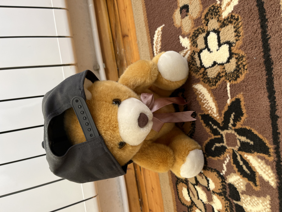 This image depicts a light brown teddy bear seated on a patterned brown, cream, and black rug in a room in Sheynovo, Bulgaria. The teddy bear, featuring a white muzzle and paw pads, wears a dark grey baseball cap backward, with its plastic snapback closure visible at the rear. A light brown ribbon is tied in a bow around the teddy bear's neck. In the background, a white ribbed radiator is horizontally mounted above a visible section of polished wooden floor.