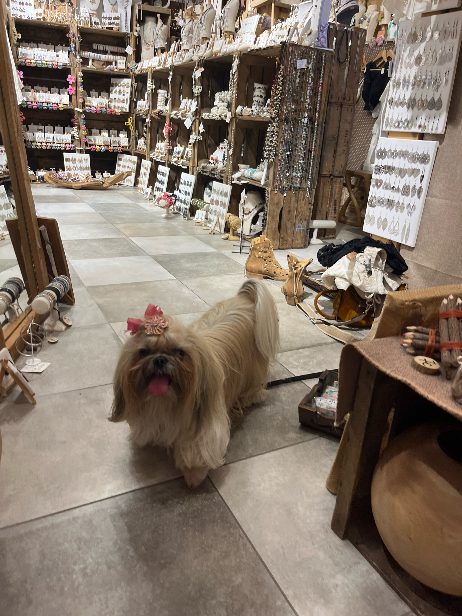 In a retail establishment in Yvoire, France, a Shih Tzu dog with a pink bow on its head stands on a tiled floor amidst displays of jewelry and accessories. The dog, facing forward, has its tongue slightly out. The environment features wooden shelving units filled with numerous items, including necklaces, earrings, bracelets, and other decorative pieces, some presented on white display cards. In the background, a pile of clothing and boots is visible, along with rustic wooden crates and woven baskets. The lighting suggests an indoor setting, likely a boutique or market stall.