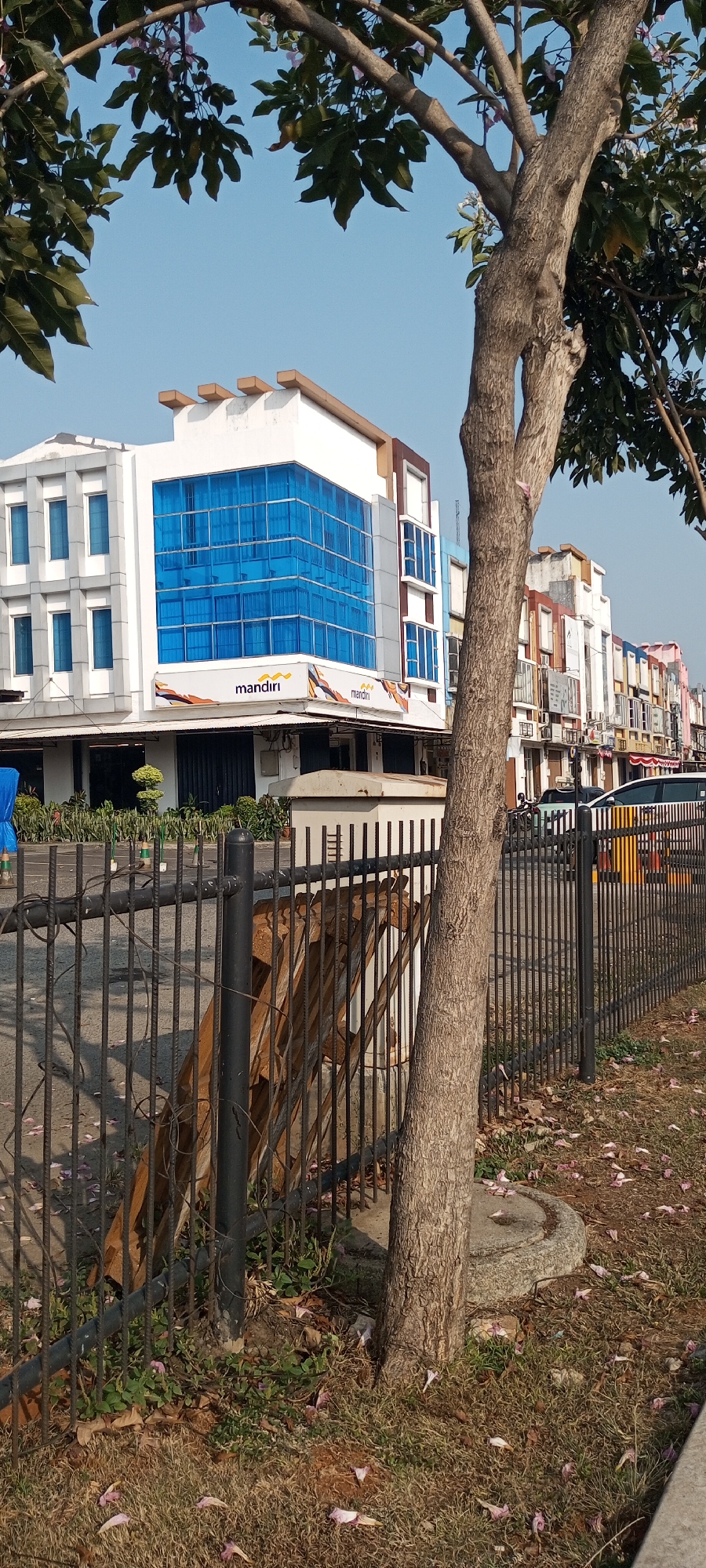 The image shows a street scene in Lambangjaya, Indonesia. In the foreground, a large tree trunk is prominent, with its branches extending upwards and obscuring part of the sky. A black metal fence runs along the right side of the image, with some weathered wooden debris visible behind it. Fallen pink flowers are scattered on the dry grass and dirt on the ground.
Behind the fence, a multi-story building with a modern facade is visible. The building has large blue glass windows on its upper floors and white sections. A banner with the "mandiri" logo is displayed on the lower part of the building. Further down the street, a row of similar buildings stretches into the distance, suggesting a commercial or office area. The sky is clear and blue.