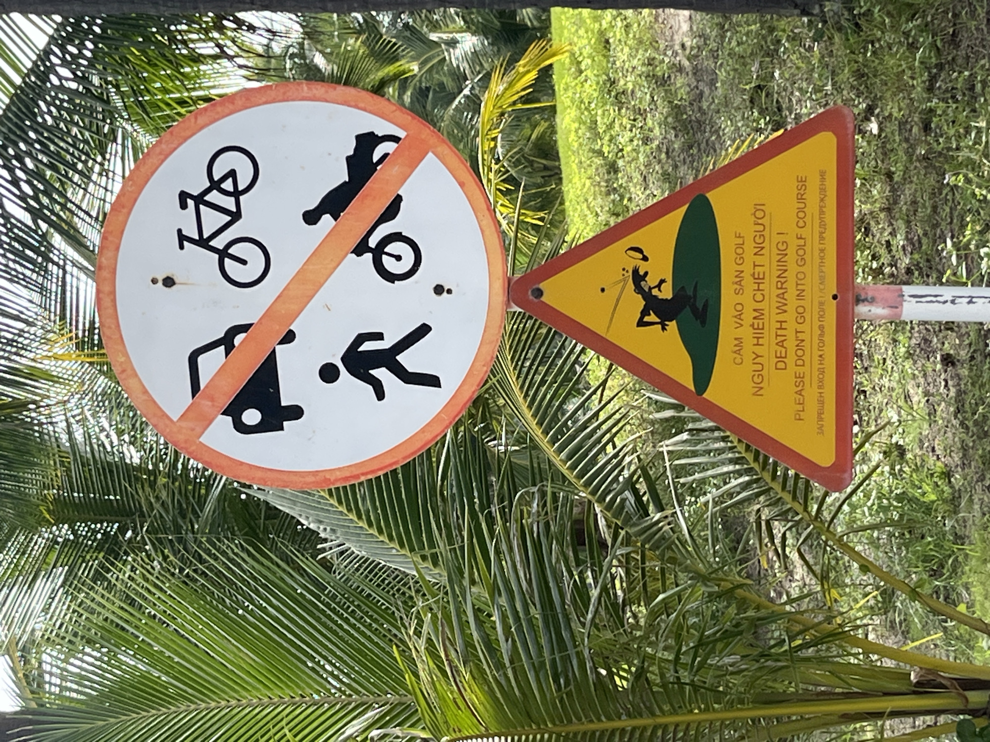 The image shows two signs with multiple symbols and text in a tropical outdoor environment. The upper sign is a large white circle with an orange border and a red diagonal bar across it, indicating prohibition. It displays black icons of a car, a bicycle, a pedestrian, and a motorcycle, all crossed out. The lower sign is a yellow triangle with a red border, also indicating a warning. It features a black silhouette of a creature, possibly a frog or a lizard, on a green mound, appearing to be playing golf. Below the illustration, there is text in Vietnamese and English. The Vietnamese text reads "CẨM VÀO SÂN GOLF NGUY HIỂM CHẾT NGƯỜI" which translates to "Do not enter the golf course, deadly danger." The English text reads "DEATH WARNING ! PLEASE DON'T GO INTO GOLF COURSE." Below this, there is Russian text that reads "ЗАПРЕЩЕН ВХОД НА ГОЛЬФ ПОЛЕ ! СМЕРТНОЕ ПРЕДУПРЕЖДЕНИЕ," which also translates to "Entry to the golf course is prohibited! Death warning." The signs are mounted on a metal pole that is partially visible. The background consists of lush green vegetation, including palm trees with large fronds, and dense undergrowth, suggesting a humid, tropical climate. The lighting suggests it is daytime, with sunlight filtering through the foliage. The scene appears to be a pathway or entrance leading to a golf course, with a strong warning against unauthorized entry due to the potential danger.