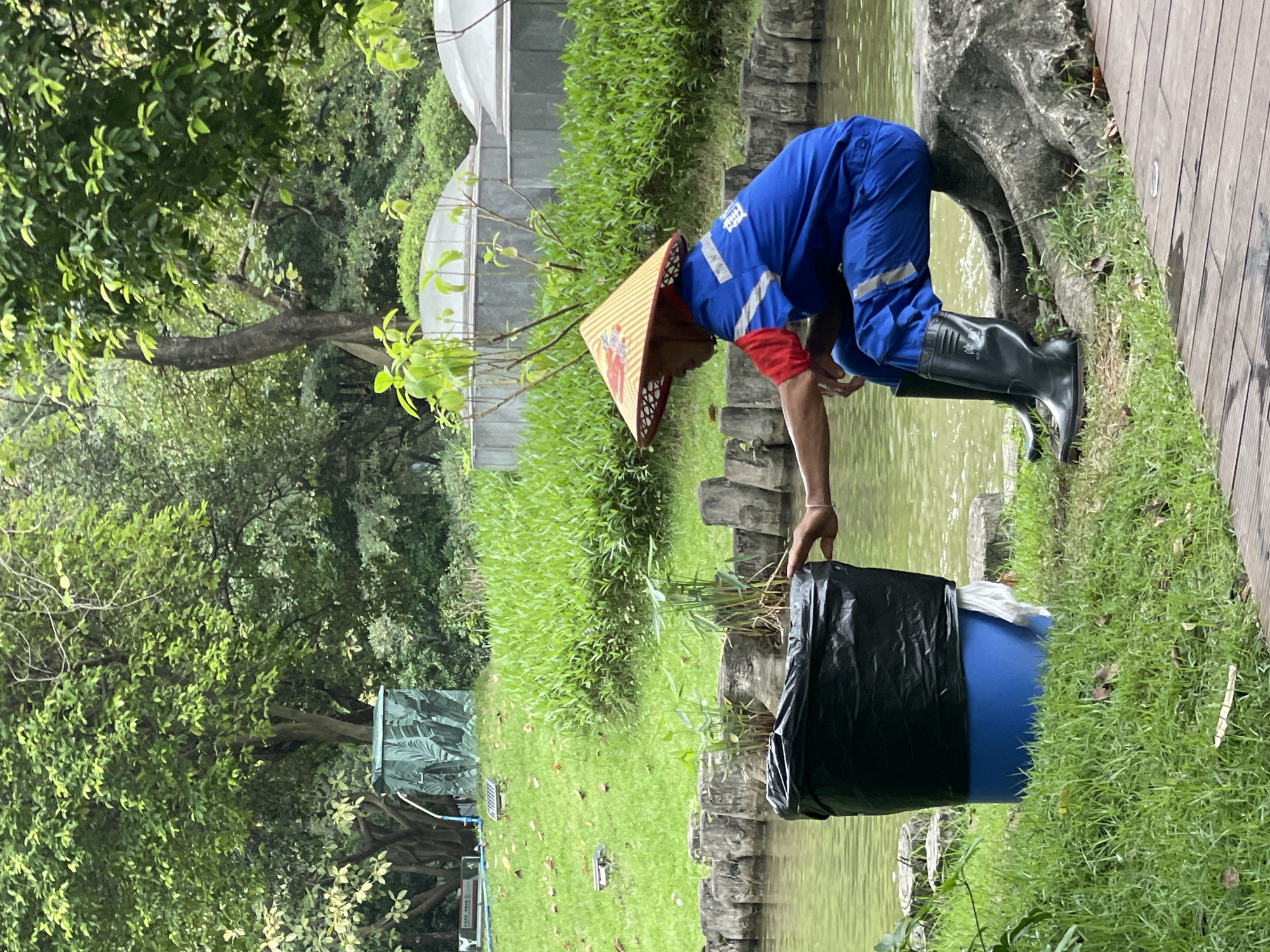 The image shows a person working in a park or garden setting, likely in the Tianhe District of China. The person is wearing a blue jumpsuit, black rubber boots, and a conical Asian hat. They are bent over a blue plastic barrel, which is lined with a black plastic bag. The barrel is positioned at the edge of a pond or waterway. The worker appears to be collecting plants or debris from the water. The surrounding environment consists of green foliage, trees, and a wooden walkway. In the background, a white greenhouse-like structure can be seen.