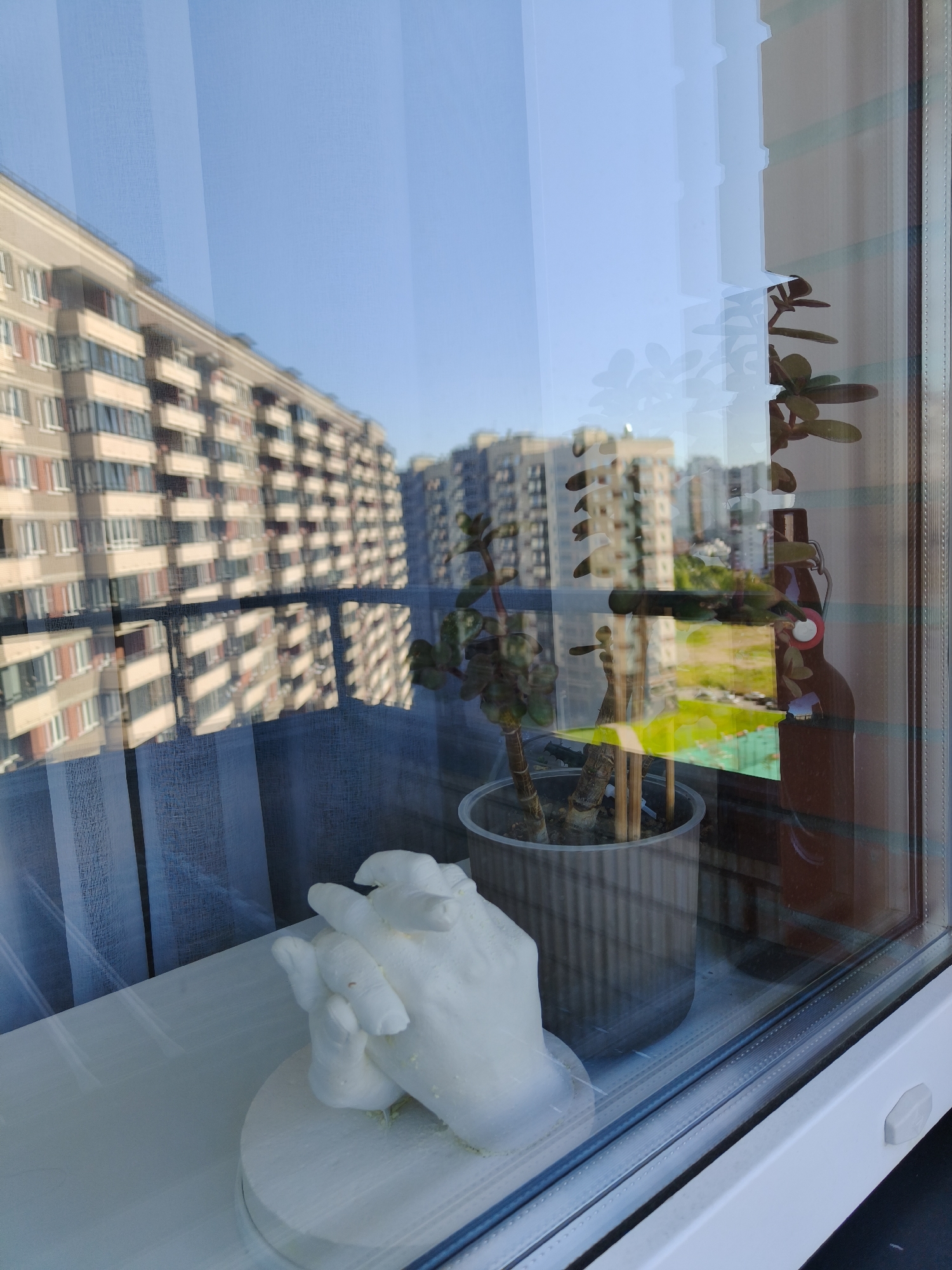 This is a reflective image taken from inside an apartment window in Murino, Russia. The foreground shows a white plaster cast of two hands intertwined, placed on a white wooden surface. To the right of the cast is a potted succulent plant with thick stems and green leaves, supported by bamboo stakes. The plant is in a gray pot. Behind the plant, a brown, bottle-shaped object with red and white accents is visible, possibly a decorative item.
The window glass reflects the exterior scene, which consists of a clear blue sky and a row of modern apartment buildings. The buildings are multi-story, with repeating patterns of balconies and windows, characteristic of urban residential architecture. The reflection also shows a patch of green, suggesting an outdoor area such as a park or courtyard. The overall impression is a domestic interior looking out onto a contemporary urban landscape.