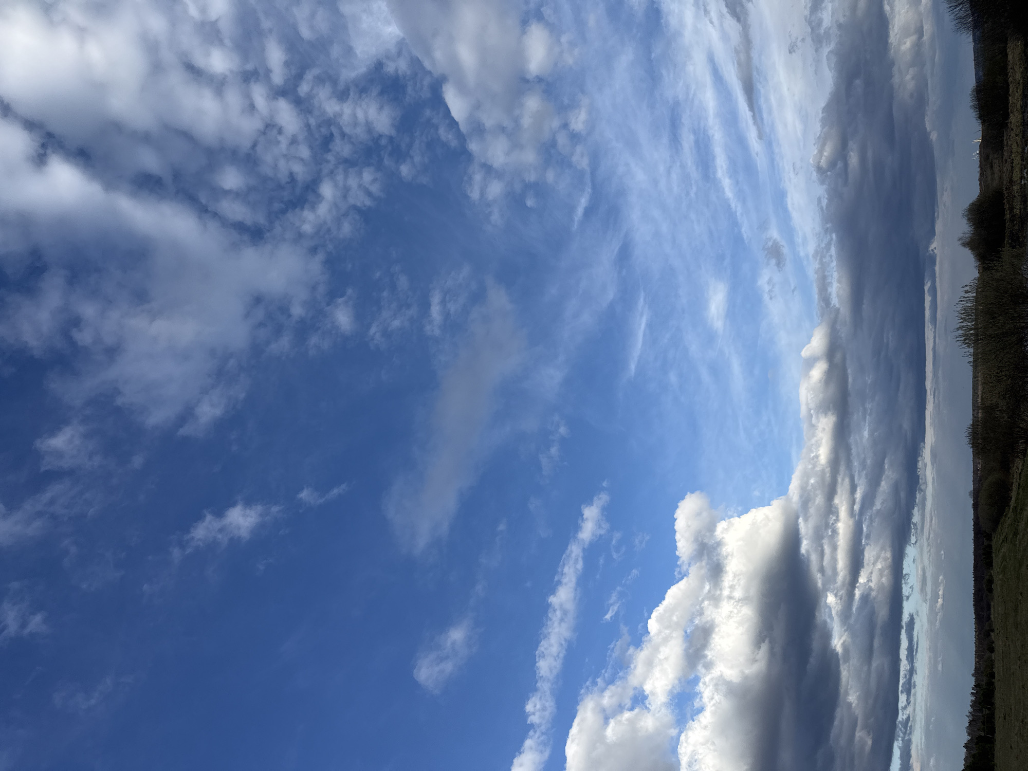 The image captures a daytime sky with a mix of cumulus and cirrus clouds. The sky varies in color from a deep blue in the lower left to a lighter blue, almost white, towards the upper right. The clouds are mostly white, with some darker, grey areas indicating shadows. A line of trees and field edges is visible on the right side of the image, providing a horizon line. The photo seems to be taken outdoors in Шолья, Russia, but there are no specific indicators of people or actions visible.