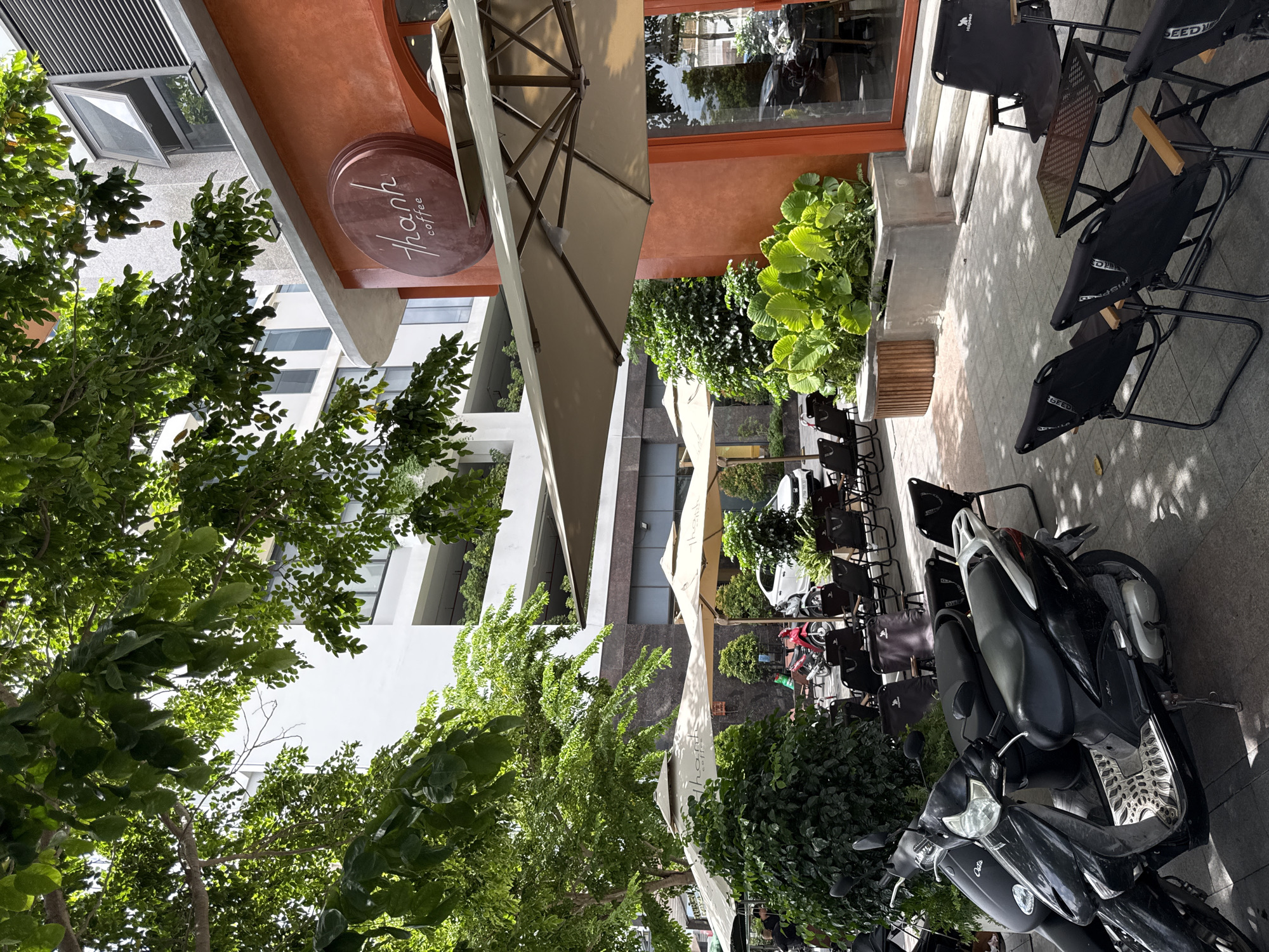 This is an eye-level outdoor shot of a coffee shop's exterior seating area in Nha Trang, Vietnam. The facade of the building is painted a vibrant orange, with a circular brown sign that reads "thanh coffee" in white script. Large umbrellas provide shade over a patio furnished with black folding chairs and small tables. Several scooters are parked on the tiled walkway in the foreground, with a white car visible in the background. Lush green plants, including large-leafed varieties and trees, surround the seating area. The overall atmosphere suggests a sunny day with a relaxed ambiance.
