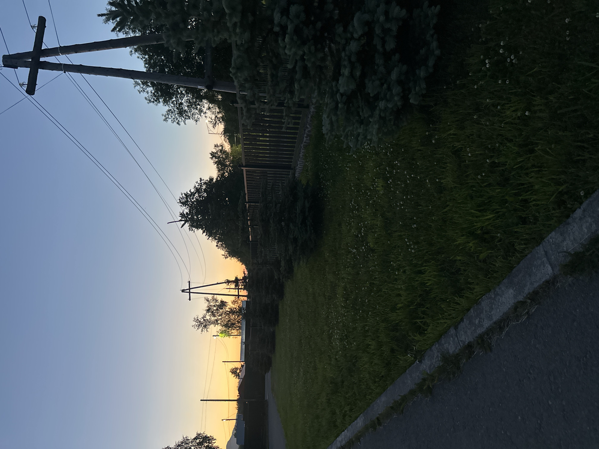 The image depicts a twilight scene in Yuzhnyye Koryaki, Russia, featuring a roadside with a neatly mown lawn and a row of coniferous trees. A metal fence runs along the edge of the lawn, separating it from a wooded area. Overhead, power lines stretch across the sky, supported by wooden utility poles. The sky displays a gradient of colors, transitioning from a light blue at the top to a warm orange hue near the horizon, indicating the sun has recently set. There are no people or animals visible in the image.