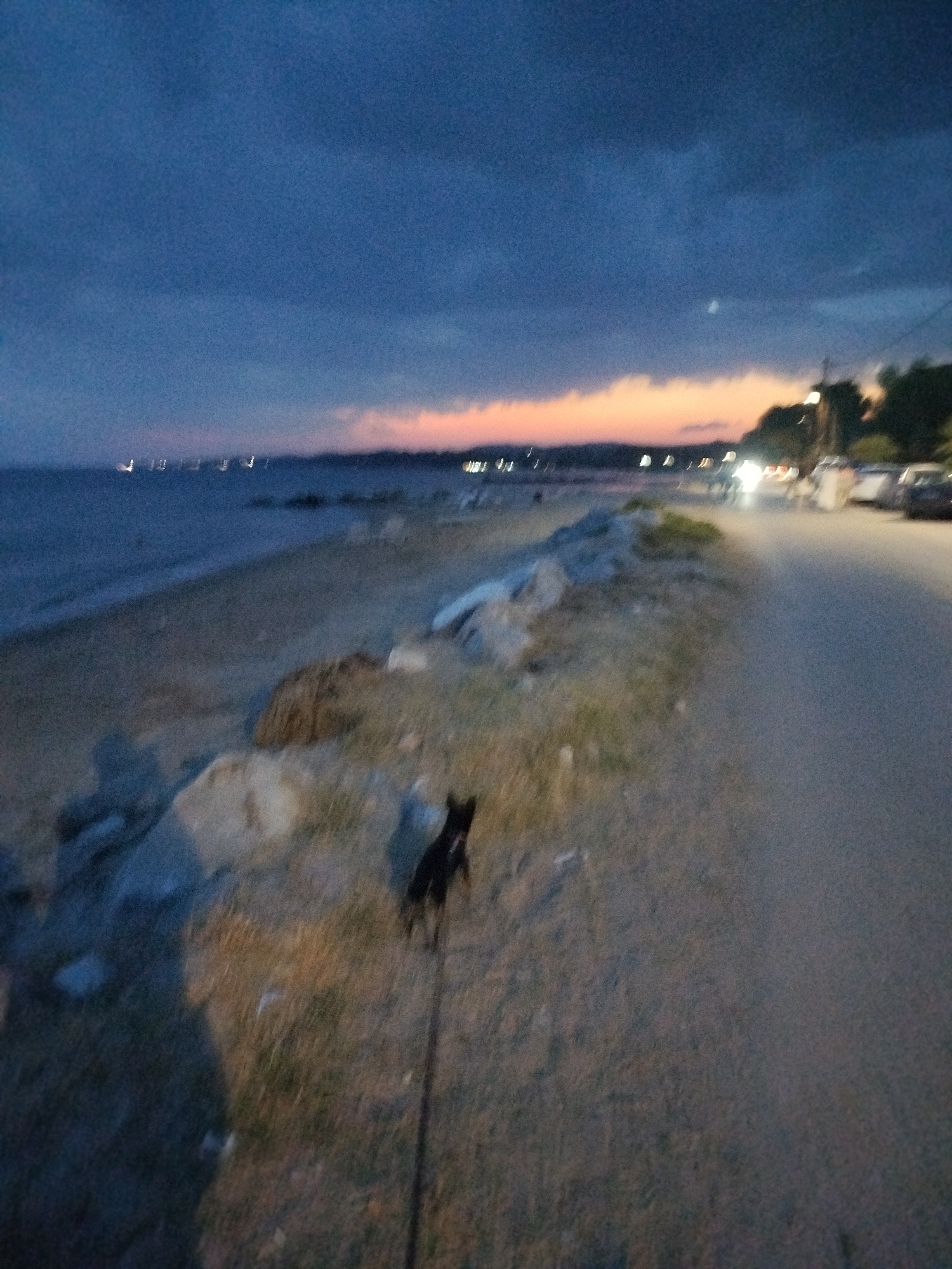 The image depicts a twilight scene along a coastal road in Sithonia Municipal Unit, Greece. A small dog on a leash is walking on a dirt path next to the road. The path is bordered by a rocky beach to the left and the road to the right. In the distance, the sea stretches out, with a faint line of lights suggesting a settlement or boats. The sky is a deep blue with hints of orange and pink near the horizon, indicating the sunset has recently passed. Lights from vehicles and possibly streetlights illuminate the road and the adjacent trees. The overall atmosphere is serene, capturing a moment of a quiet evening stroll.