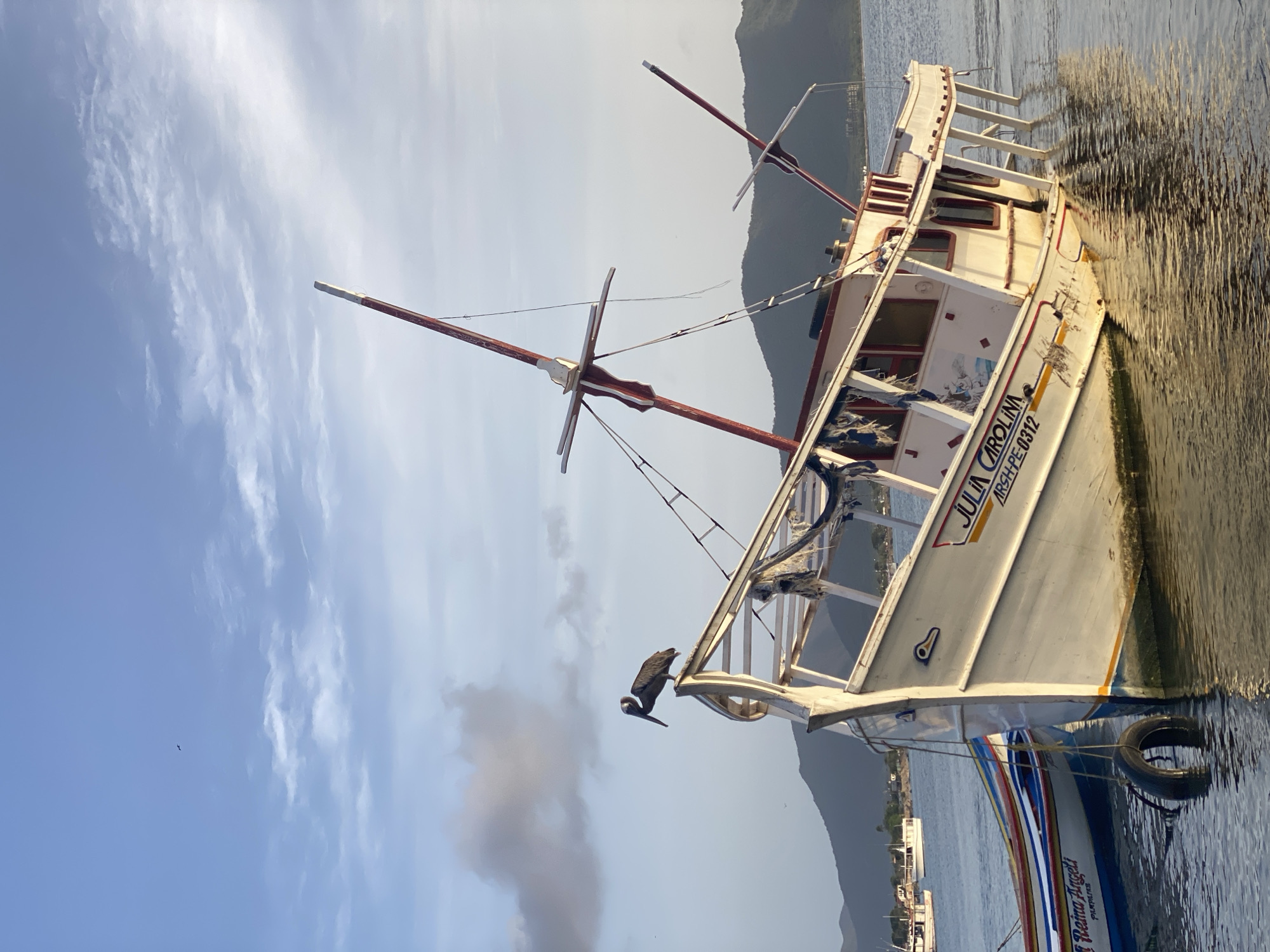 A beached fishing boat, named "Julia Carolina," rests at a precarious angle in the shallow waters of Juan Griego, Venezuela. The boat's hull is mostly submerged, with its starboard side significantly lower than its port side. A pelican is perched on the bow of the "Julia Carolina." The boat is white with red trim and has the name "Julia Carolina" painted on its side, along with what appears to be a registration number. Another smaller boat, with colorful stripes, is moored alongside the "Julia Carolina." The scene is set against a backdrop of rolling, verdant hills and a sky with scattered clouds. The water is calm, reflecting the sky and the boats.