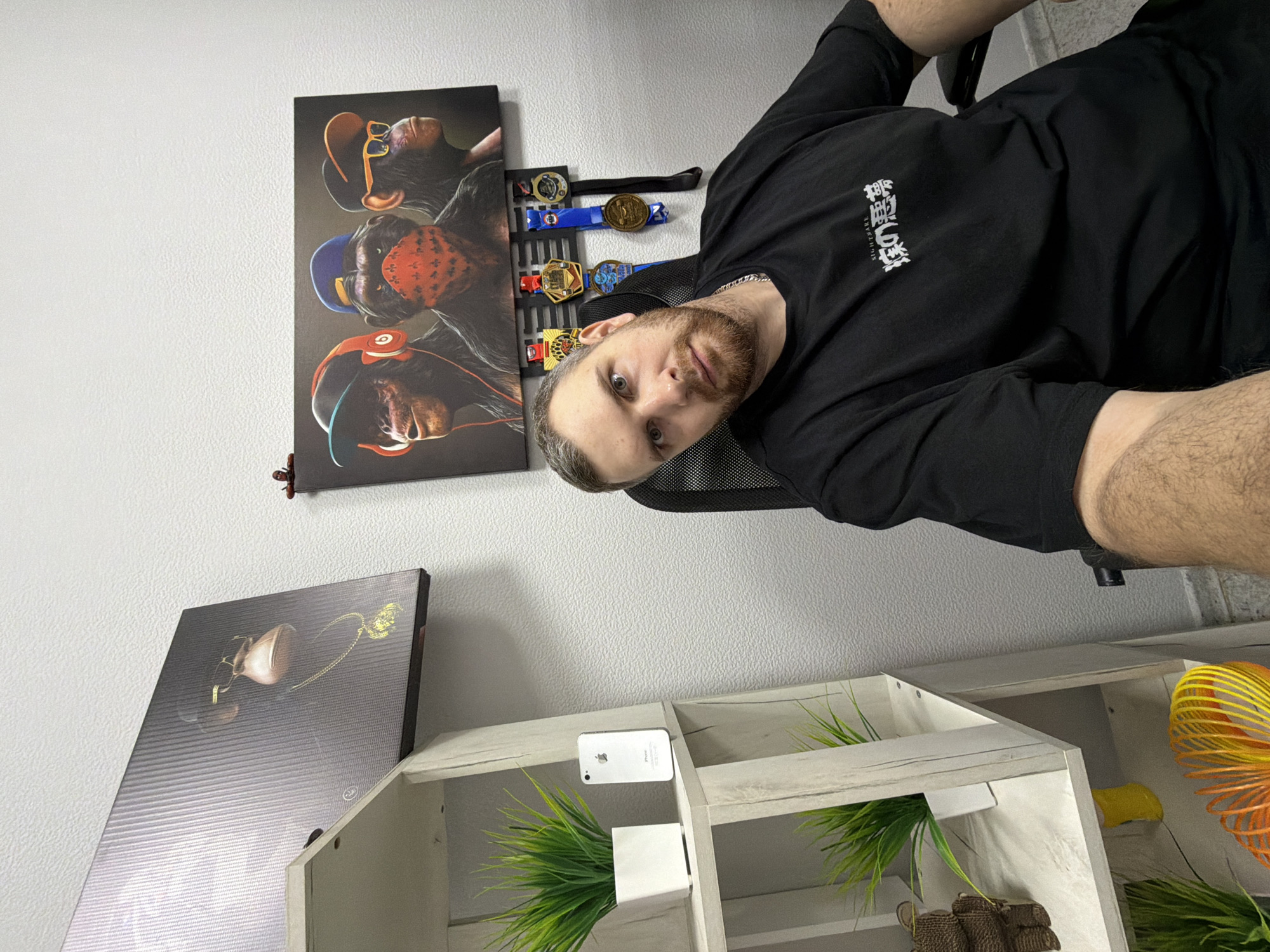 An adult male subject with a short beard and hair is seated in a black mesh-backed office chair, looking directly into the camera. He wears a black t-shirt with "NIGHTMARE" and Japanese characters, and a silver chain necklace. His right arm, holding the camera, is visible in the foreground.
The background consists of a white, textured wall. To the subject's left, a light-colored, multi-tiered shelving unit is present. On the second shelf, a white iPhone 4/4S is displayed vertically alongside a white potted artificial plant. The third shelf holds another identical potted plant and a small brown textured object. The bottom shelf features a colorful Slinky toy.
Two rectangular canvas prints adorn the wall: one above the shelving unit depicting a monkey with a vintage telephone receiver and a gold chain, and another to the subject's right featuring three anthropomorphic monkeys wearing headphones, a bandana, and sunglasses, respectively. Below the three-monkey print, a black wall-mounted rack displays five circular medals attached to ribbons. The floor is a light gray.
The scene is an unspecified indoor room, likely a private residence or office, within an unknown city.
