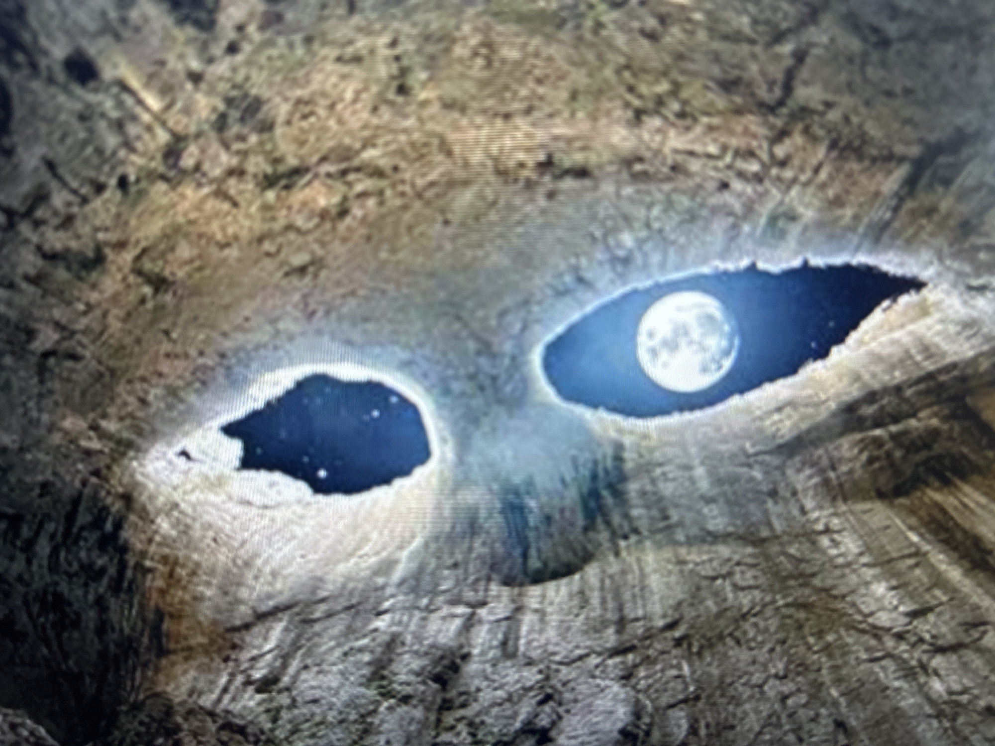 The image depicts the Prohodna cave near Karlukovo, Bulgaria, about a 1.5 hour drive from Varna. The cave's large openings in the ceiling, known as the "Eyes of God," are visible. Through these openings, the night sky is seen, including a full moon and stars. The cave walls are textured and appear to be composed of rock. The perspective is from inside the cave, looking upwards towards the sky.