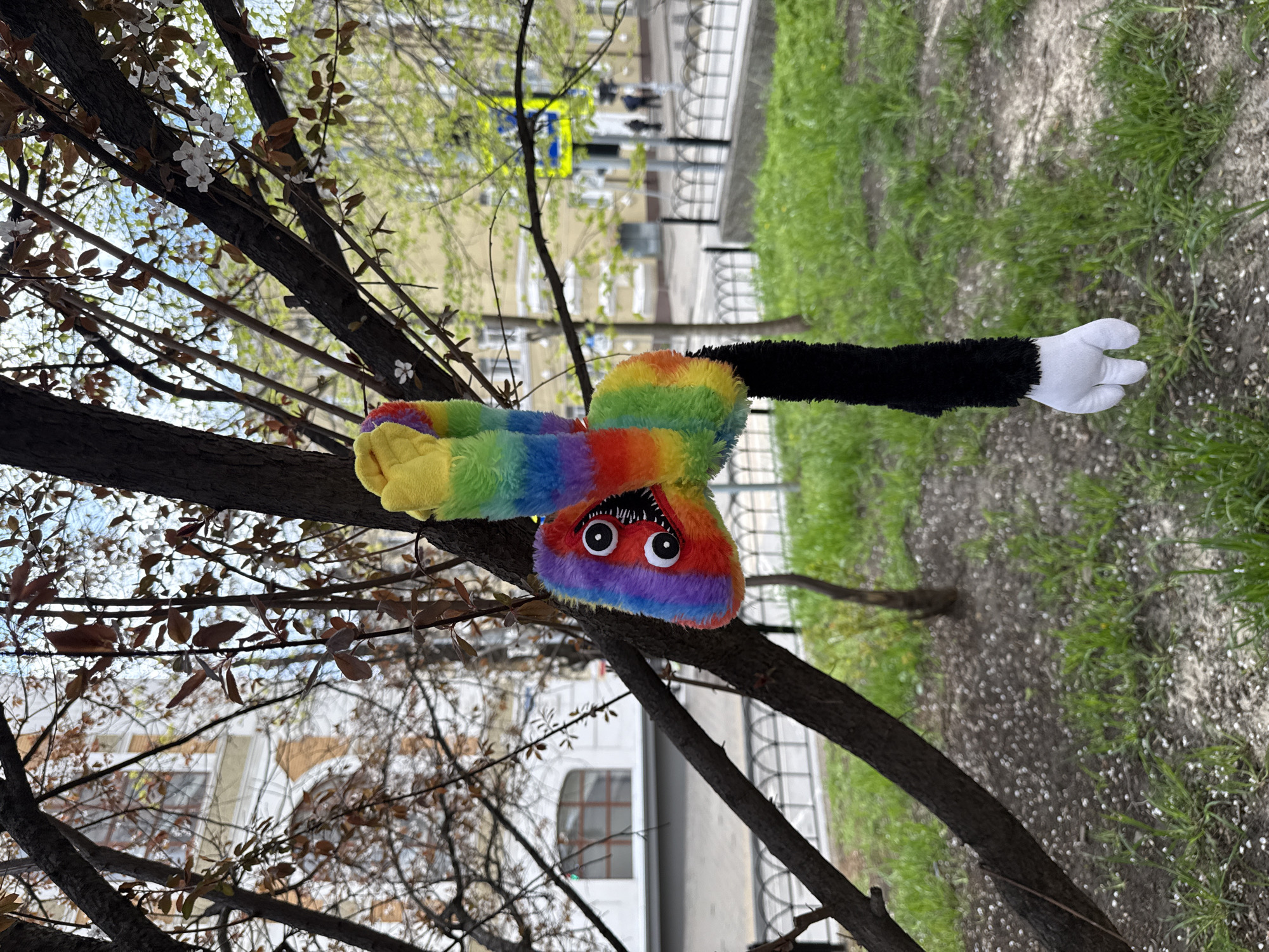 A multicolored, rainbow-striped plush toy with a black arm and white gloved hand hangs upside down from a tree branch. The toy has large, round eyes and what appears to be a row of teeth visible in its "mouth." The tree is bare except for some small white blossoms. In the background is a street with green grass, a building, and a crosswalk. Based on visual cues, the location is likely in Rostov-on-Don, Russia.