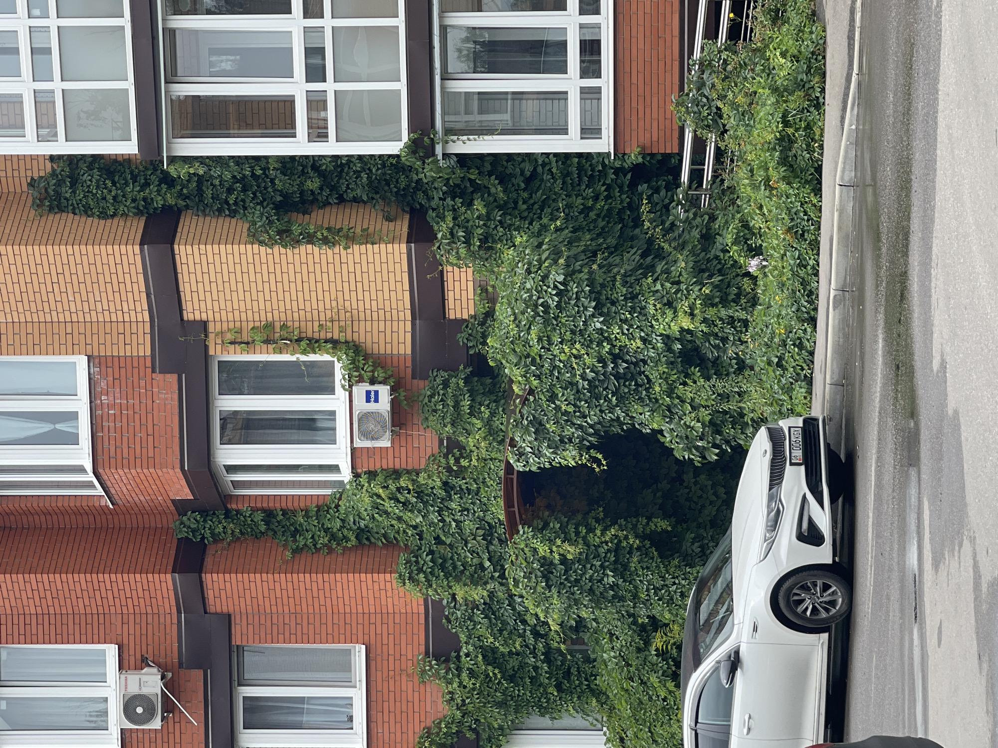 A white Kia Optima is parked on the side of a wet asphalt road in front of a brick building in Kommunarka, Russia. The building is covered in dense green vines. The car is facing left, and its license plate reads "06 006 KGX". There are no people visible in the image. The environment appears to be urban, with the building and road indicating a developed area. The overall impression is one of a residential or commercial area with extensive greenery.