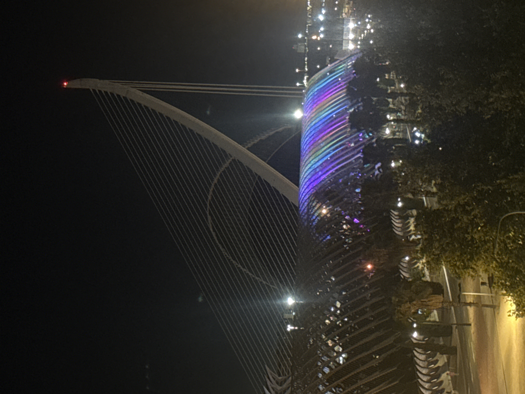 The image shows a night view of the City of Arts and Sciences in Valencia, Spain. A prominent feature is the Assut de's Azahar bridge, a cable-stayed bridge with a striking white pylon topped with a red light. The bridge's cables are arranged in a fan-like pattern against the dark sky. Below the bridge, a large, curved structure, likely the roof of the Oceanogràfic or Hemisfèric, is illuminated with a vibrant rainbow of lights, creating a colorful spectacle. The surrounding area is characterized by palm trees and streetlights, with some faint lights visible in the distance, suggesting an urban environment. The foreground is dominated by the silhouettes of trees and shrubs, with some indication of paved ground and lighting at street level. There are no visible people in the frame, but the scene implies a public space potentially frequented by visitors. The overall impression is one of modern architecture and nighttime illumination in an urban setting.