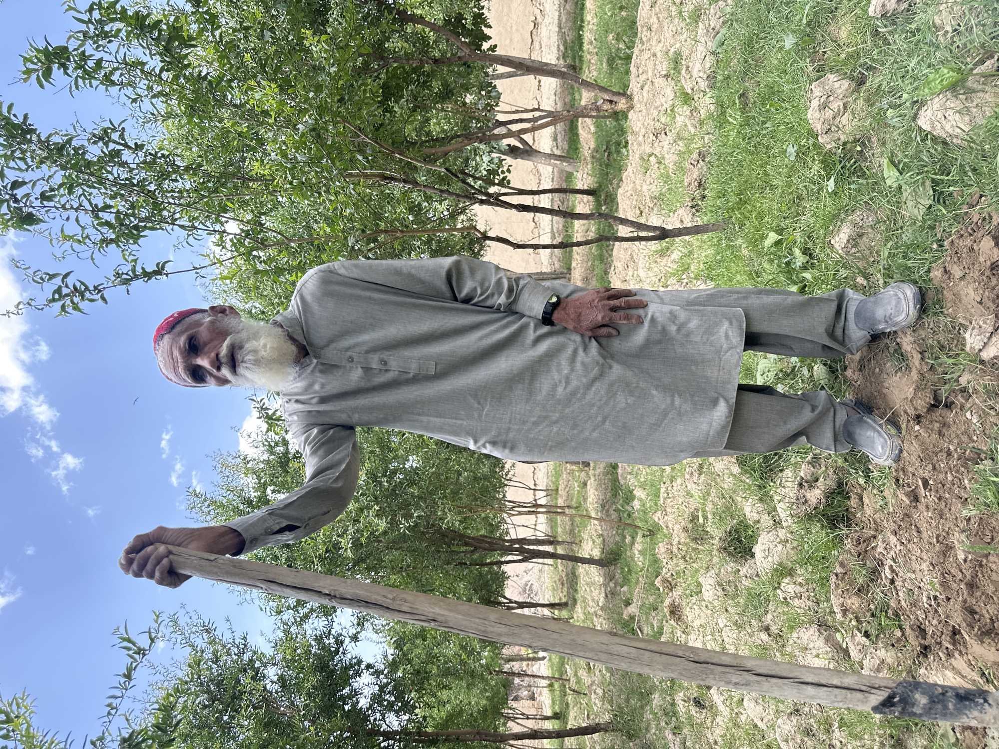 An elderly man with a white beard and a red cap stands in a field. He is wearing a gray shalwar kameez and dark shoes. He is holding a long, wooden tool, possibly a shovel or hoe, in his left hand. His right hand is resting on his hip. The ground is a mix of dirt, grass, and small plants. Behind him are trees with green leaves, and beyond them, a distant, hazy hillside. The sky is blue with scattered clouds.