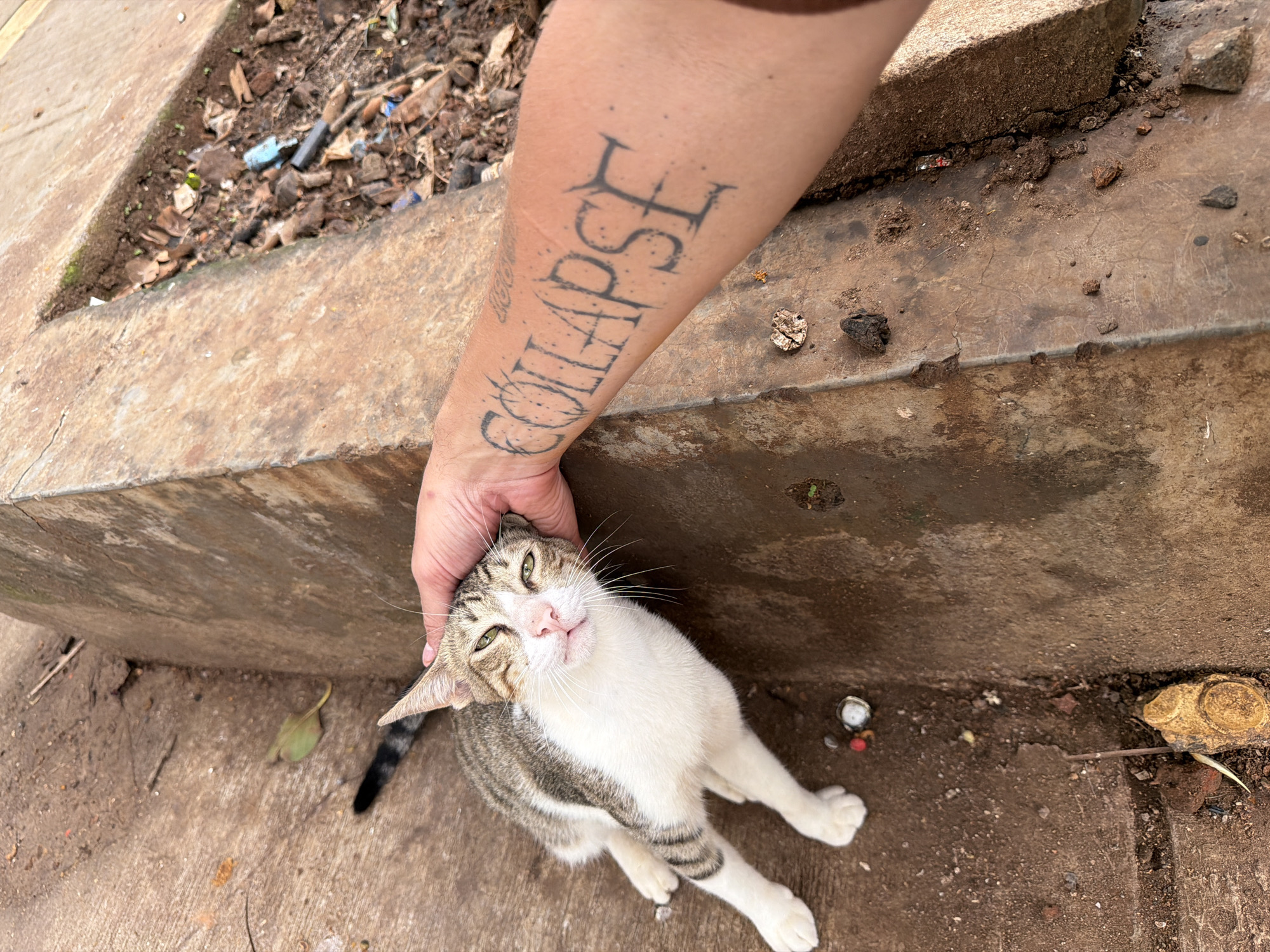 A tabby cat with white markings is being petted by a person's hand on its head. The cat is lying on a cracked, brown concrete surface, which appears to be outdoors. The background shows more of the concrete surface and a raised, rough-textured concrete border. There are some dirt, debris, and leaves on the ground. The person's forearm is visible, with a tattoo of the word "COLLAPSE" in stylized, dark lettering. The scene appears to be in a public urban environment, potentially a street or park in Mumbai, India, given the typical urban textures and the presence of street cats.