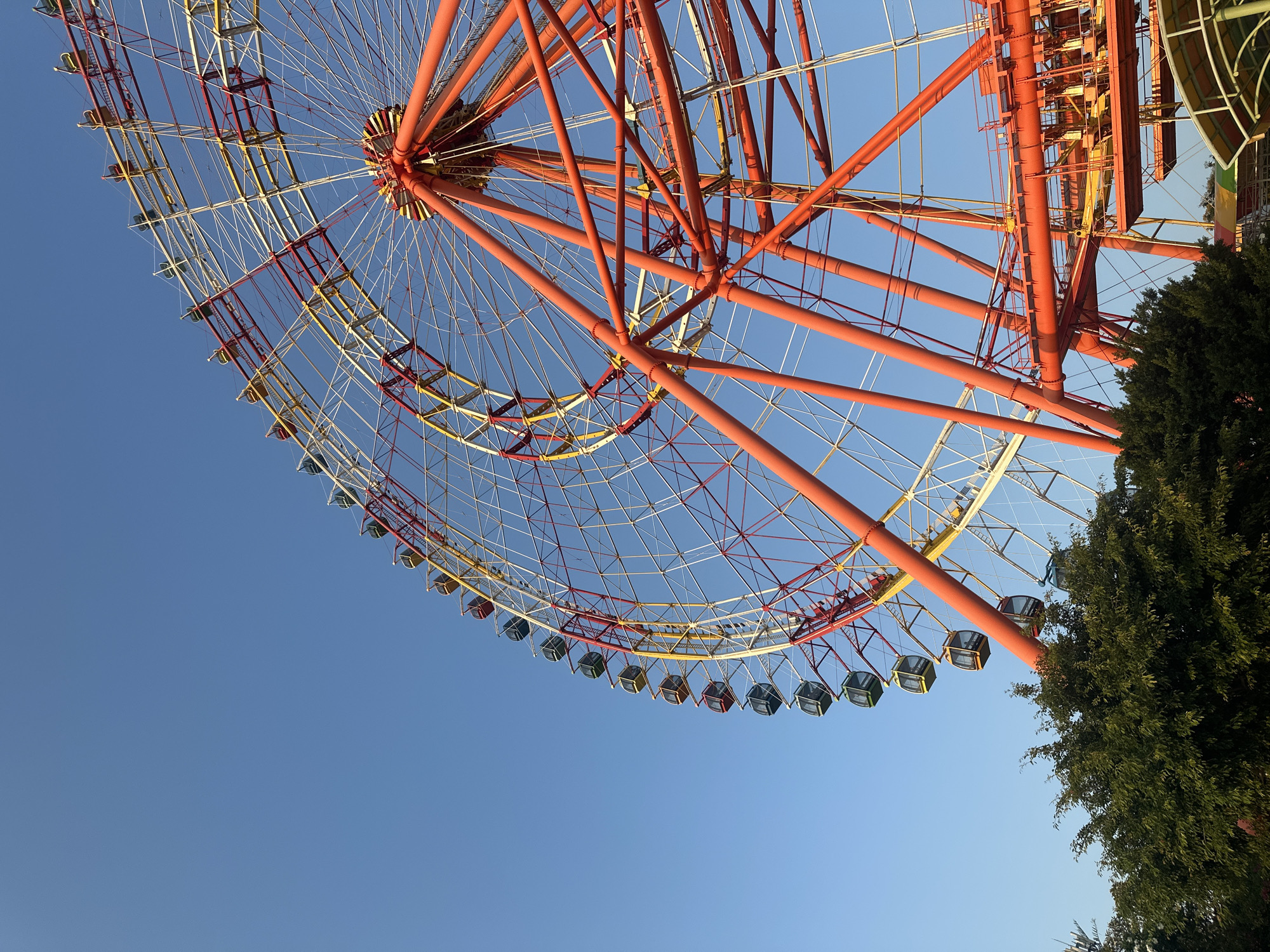 A vibrant, multi-colored Ferris wheel dominates the scene, viewed from a low angle looking upwards against a clear, bright blue sky. The central structural elements of the Ferris wheel are a prominent orange-red, forming thick support beams that converge towards the hub. The circular rim of the wheel is composed of intricate lattice work, featuring alternating sections of red and yellow framework, with numerous thin white spokes or tension wires radiating from the center and connecting these sections.
Approximately two dozen passenger cabins or gondolas are visible, suspended along the lower arc of the wheel. These cabins display a variety of colors including dark grey, green, yellow, and blue, suggesting a diverse color scheme. A large, dense tree or bush with dark green foliage occupies the lower right corner of the frame and extends partially along the right edge.
The lighting indicates a sunny day, likely during the mid-morning or late afternoon, given the clear sky and warm illumination on the Ferris wheel's structure. There are no people visible, and no discernible activity other than the static presence of the amusement ride. No text or specific location cues are visible on the structures. The overall impression is that of an amusement park or fairground attraction under optimal weather conditions.
