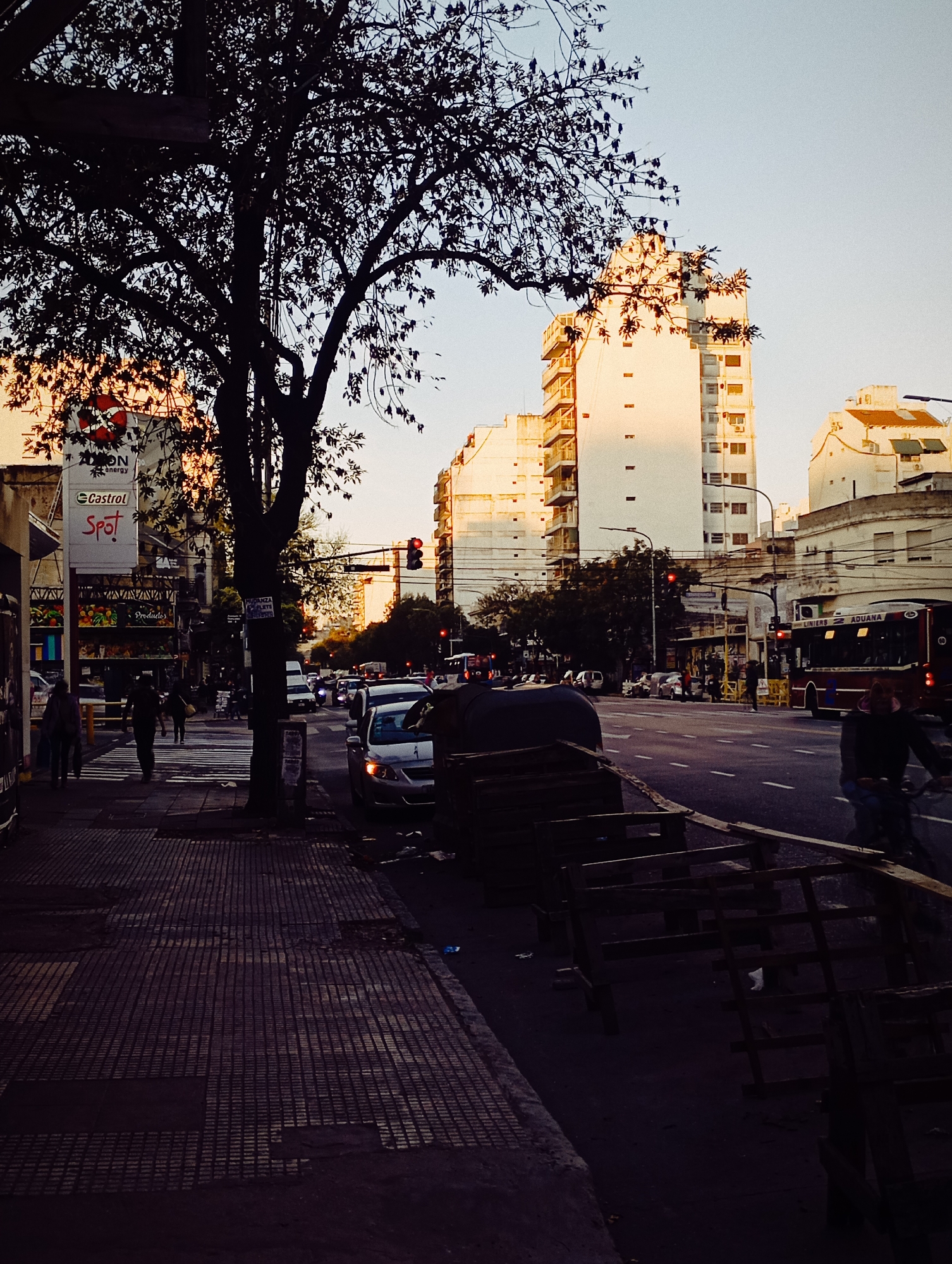 An eye-level outdoor shot depicts a street scene in Buenos Aires, Argentina. The image is partially obscured by a dark tree in the foreground, with its branches reaching across the top and left side.
Sidewalk: The foreground shows a paved sidewalk with a rectangular pattern, receding into the distance.
People: Several pedestrians are visible on the sidewalk, including people walking, and a cyclist riding on the street.
Street and Traffic: A street with moderate traffic runs between the sidewalk and buildings. Cars are parked along the side of the street. Buses and other vehicles are on the street.
Buildings: In the background, there are tall, light-colored buildings illuminated by the setting sun. Some buildings have a modern architectural style.
Objects: Wooden construction barriers are along the side of the street. There are signs on the buildings.
Environment: The scene is bathed in a warm, golden light, suggesting either early morning or late afternoon. The sky is clear and pale. Traffic lights are visible.