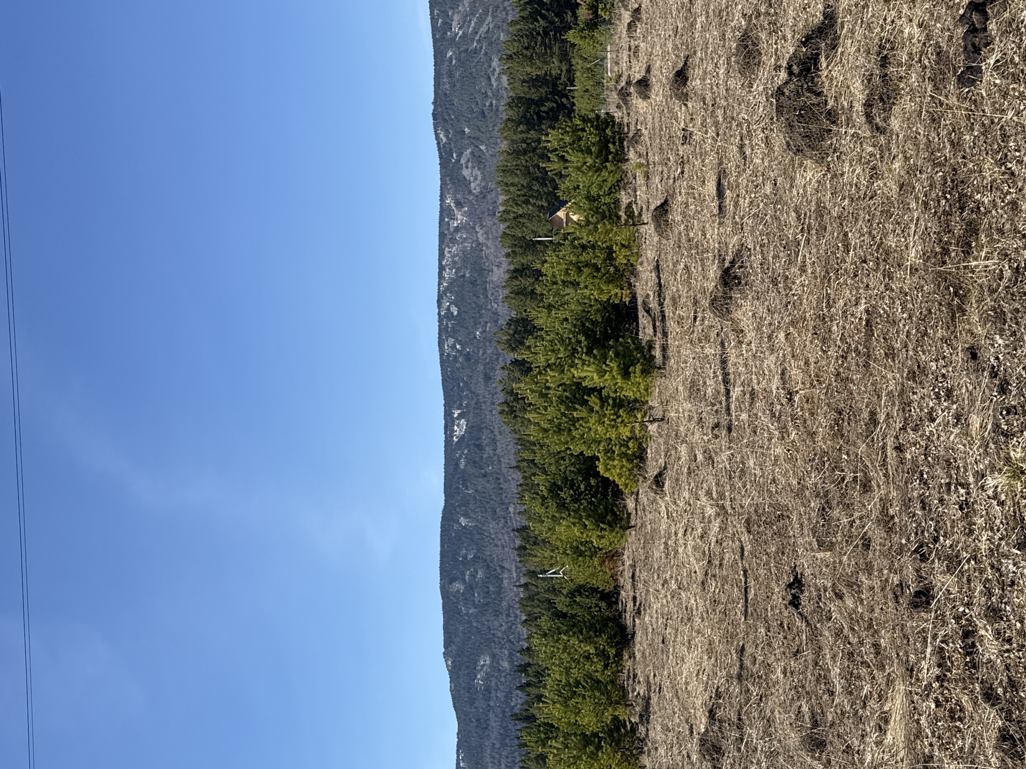 A landscape scene shows a mountain ridge running parallel to a field of dry, brown vegetation. A line of evergreen trees separates the mountain from the field. A small, tan structure is partially visible among the trees. The sky is clear blue. Utility lines are visible in the upper left corner. The location appears to be Tyulyuk, Russia.