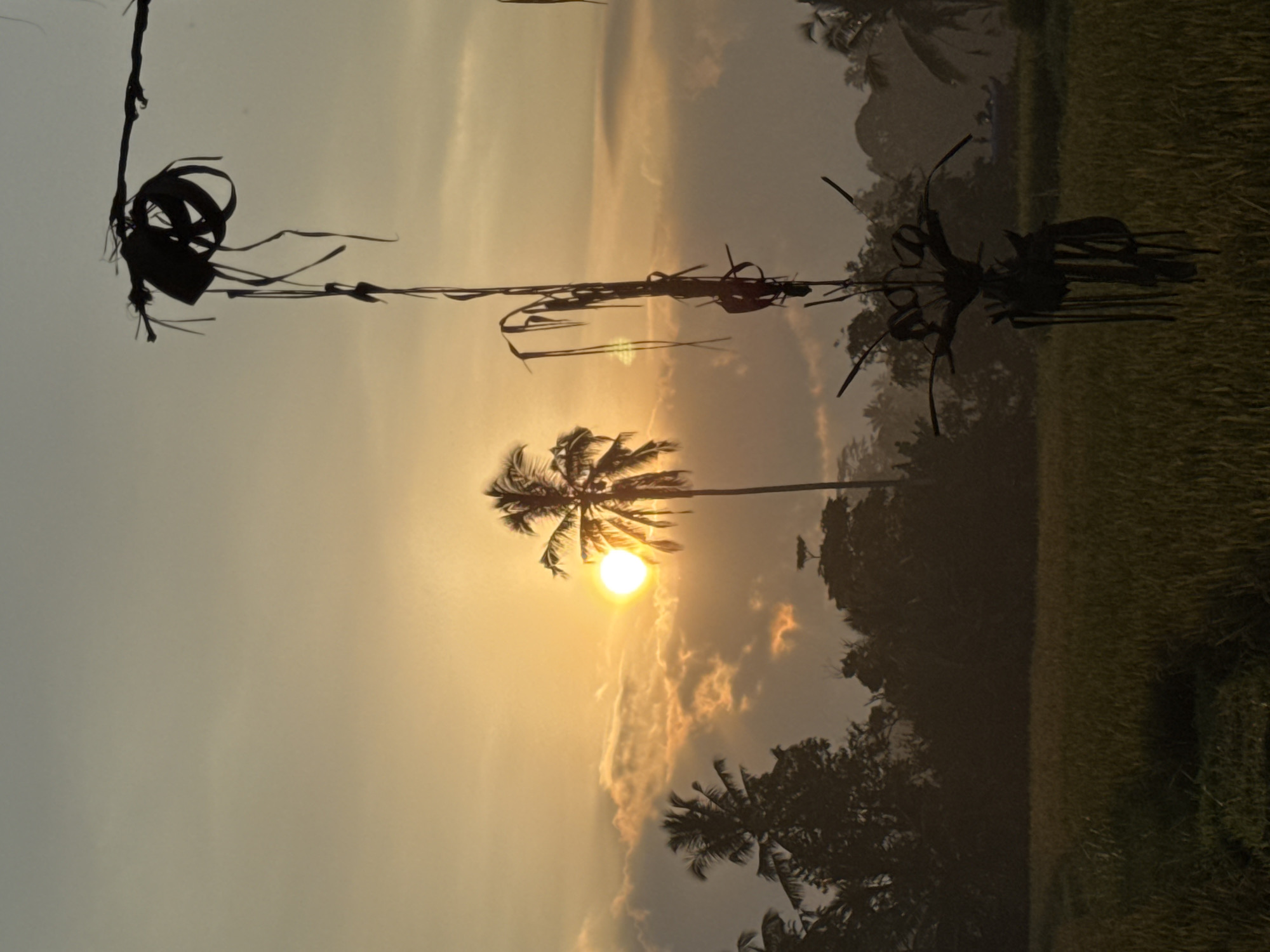 In the city of Petang, Indonesia, a silhouetted palm tree stands against a hazy sunset, its fronds fanned out around the bright orange sun. The sky transitions from a soft yellow near the horizon to a pale grey above, with scattered clouds adding texture to the scene. In the foreground, a rice field stretches out, its green stalks muted by the fading light. A dark, abstract scarecrow-like figure, constructed from sticks and dark ribbons, is positioned in the right foreground, its form casting a stark silhouette against the sky. Another similar, though less defined, structure is visible further to the right. The overall atmosphere is serene and natural, with a touch of the handmade.
