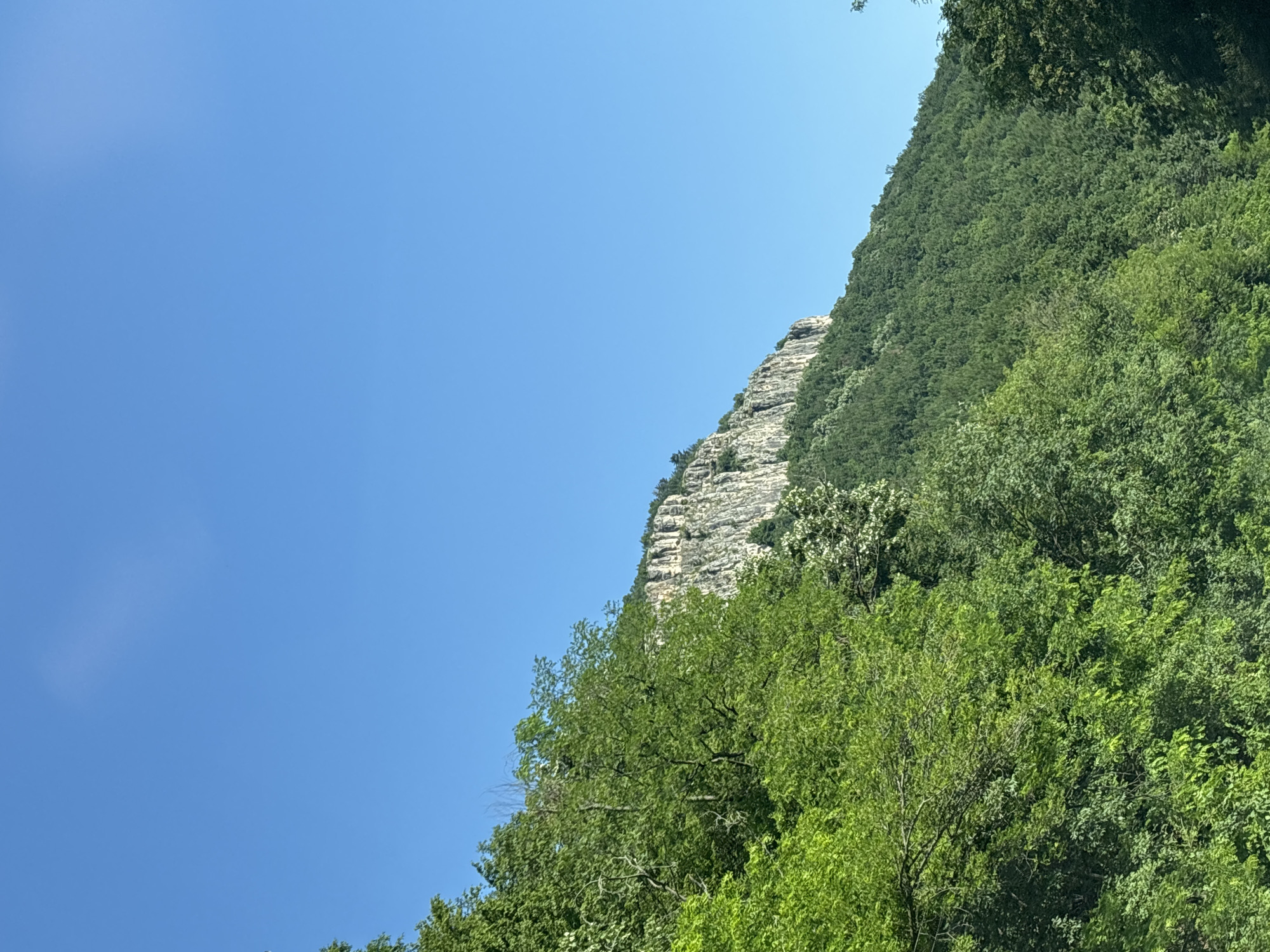 The image depicts a view of a steep, forested mountainside with a prominent rocky cliff face near the summit. The lower slopes are densely covered with lush green trees, some with lighter green foliage closer to the foreground. The sky above is a clear, vibrant blue. This scene is characteristic of the natural landscape surrounding the village of Kolishovtsi, Bulgaria, which is known for its proximity to mountainous terrain and picturesque natural formations.