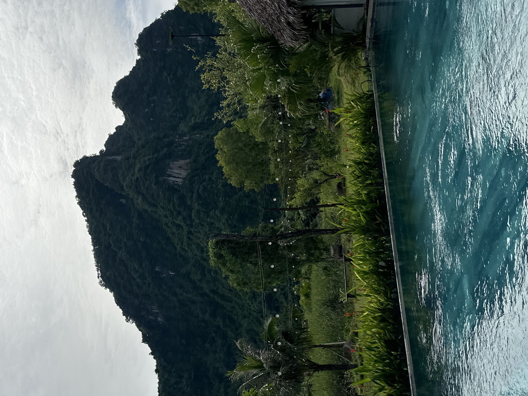 The image shows a serene outdoor scene in Nam Hoa Lư Ward, Vietnam. In the foreground, a clear blue swimming pool occupies the lower half of the frame, reflecting the overcast sky and surrounding greenery. Beyond the pool, a lush garden with vibrant green foliage and occasional red flowers creates a natural border. A row of tropical plants lines the edge of the pool, with taller palm trees and other lush vegetation further back.
Dominating the background is a majestic, heavily forested mountain, its steep slopes covered in dense green trees. The mountain's rugged contours suggest a karst landscape. A string of decorative lights hangs across the midground, illuminating the garden area. A thatched-roof structure is partially visible on the right edge of the image. The overall atmosphere is tranquil and picturesque, typical of a tropical resort or natural retreat.