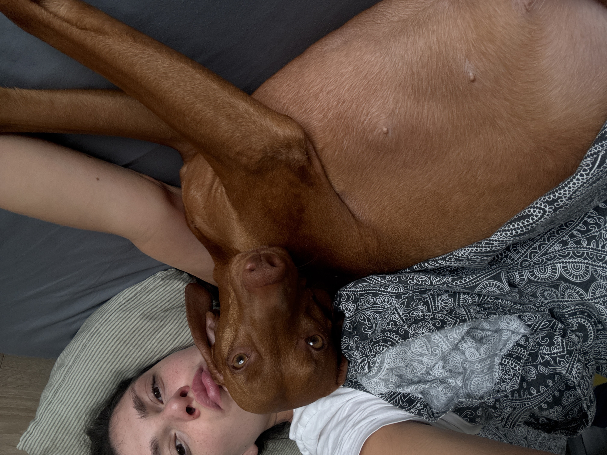 An intimate overhead shot captures a person and a reddish-brown short-haired dog relaxing together indoors, likely on a bed or couch in Sofia, Bulgaria. The person, appearing female, is lying on a light greenish-grey striped pillow with a neutral to slightly pensive expression, looking towards the camera. Her dark hair frames her face, and she wears a white t-shirt.
The dog, possibly a Vizsla, is nestled closely beside the person, with its head resting near her shoulder and chest area. Its warm, amber-colored eyes are directed towards the viewer, conveying a calm and attentive demeanor. The dog's smooth, reddish-brown fur dominates the right side of the frame, showcasing its lean physique and visible nipples on its underside.
The bedding consists of a dark grey sheet or duvet, and a black and white patterned blanket featuring intricate, possibly paisley or mandala-like, designs drapes over the dog and the person. The overall mood is one of peaceful companionship and relaxation. No text is visible in the image.