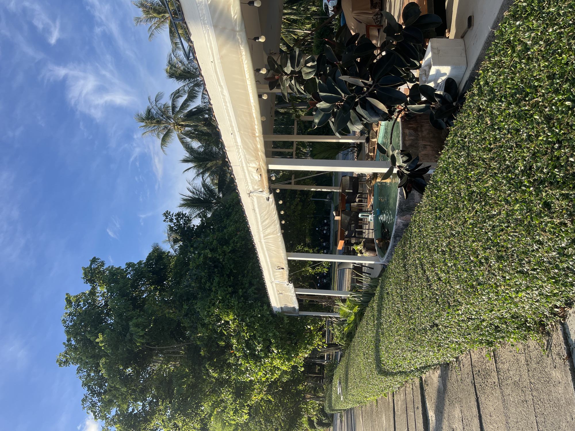 The image depicts an outdoor seating area next to a lush green hedge. A pathway runs alongside the hedge, leading towards the seating area. In the background, a white awning with string lights stretches over several tables and chairs. A small water feature is visible within the seating area, and a large, dark-leaved plant is positioned in the foreground. Palm trees and other tropical vegetation are present in the background, suggesting a tropical or subtropical location. The sky is a clear blue with wispy white clouds. The scene appears to be a well-maintained outdoor dining or relaxation space, possibly at a resort or restaurant in ตำบลเกาะพะงัน, Thailand, given the presence of palm trees and the general tropical ambiance. There are no people visible in the image.