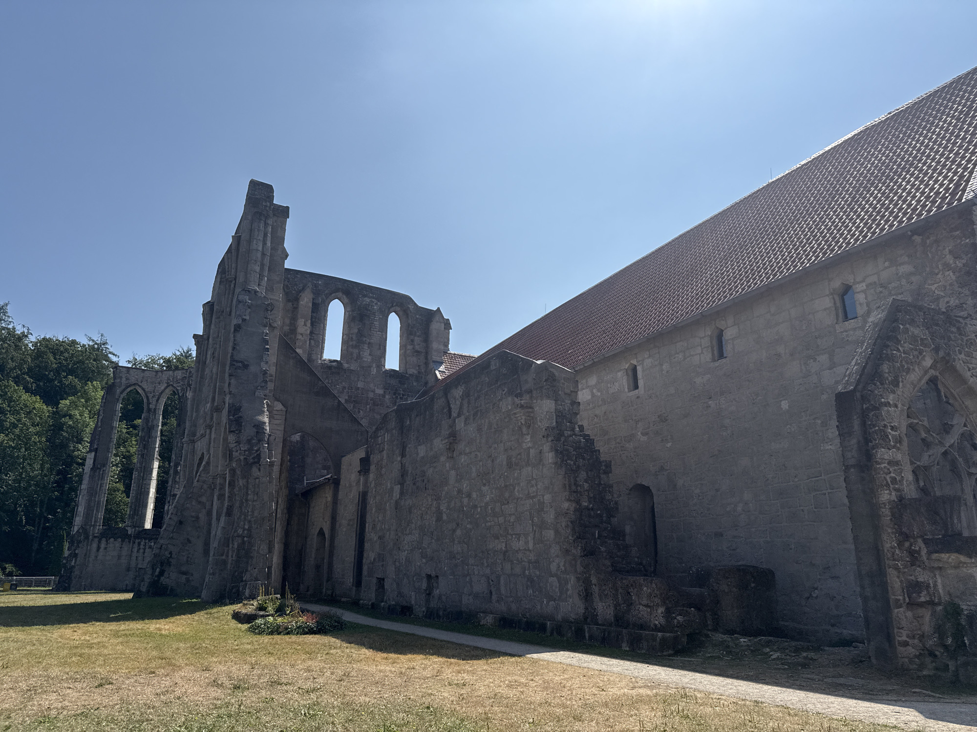 The image depicts the ruins of the Walkenried Abbey, located in Walkenried, Germany. The sky is clear and bright blue. The abbey is constructed of large, grey stones, with some sections of the building intact and others in ruin. A red tiled roof covers a portion of the structure. In the foreground, dry, yellow grass covers the ground, with a pathway made of light-colored gravel leading around the ruins. To the left, lush green trees rise behind the weathered stone walls. The architecture suggests a historical religious site, with arched windows and remnants of Gothic-style stonework. The scene is static, with no people or animals visible. The lighting suggests it is a sunny day.