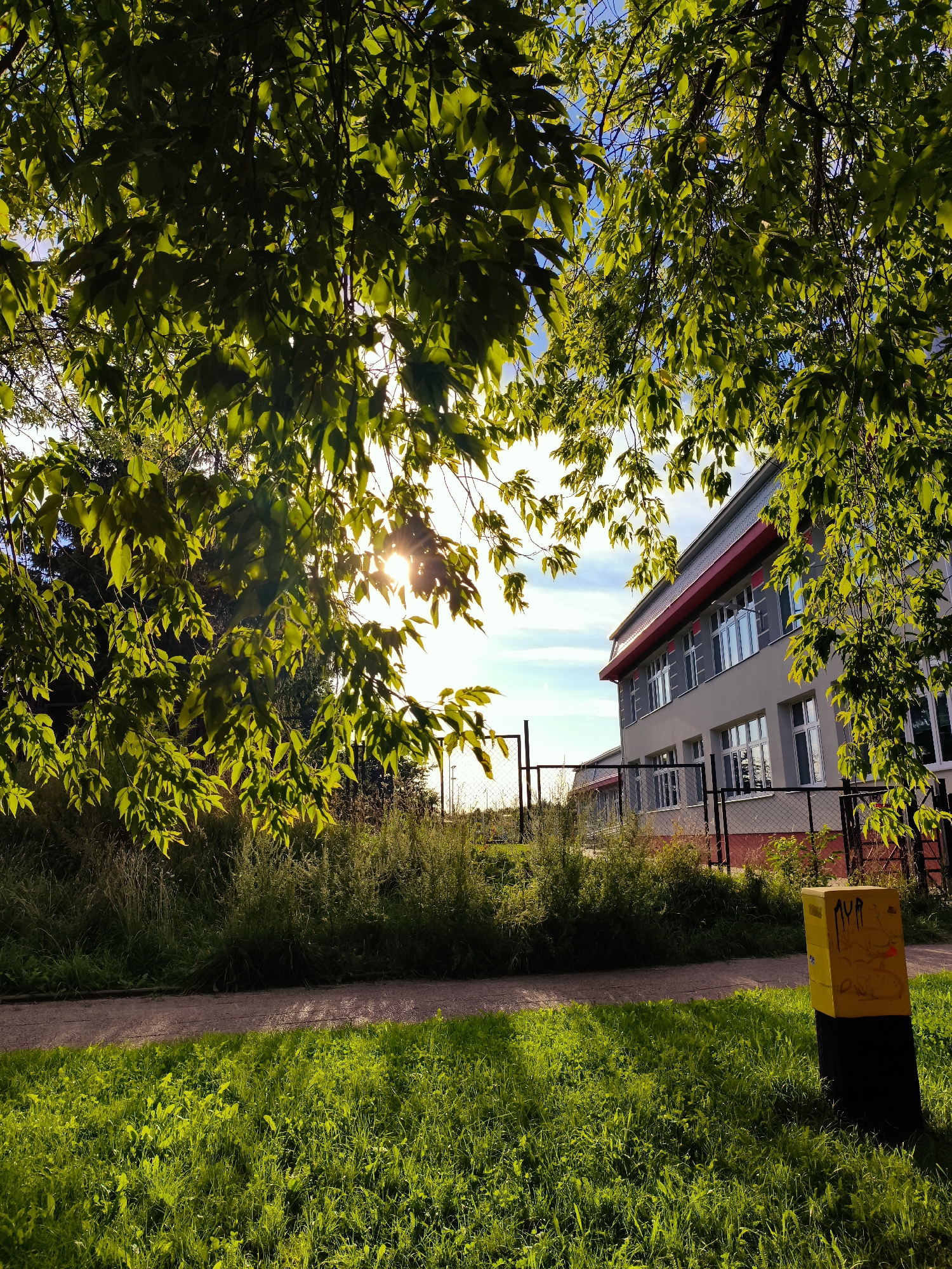 This image captures a sun-drenched outdoor scene, likely in Gdańsk, Poland. The foreground is dominated by vibrant green grass, bathed in sunlight, with a light brown path running through the middle ground. Beyond the path, a dense area of tall, green grass and vegetation stretches horizontally. In the background, a light gray building with a red-trimmed roof and numerous white-framed windows is visible. A black metal fence with a red base runs along the property line in front of the building. A yellow electrical box with black accents and graffiti is situated in the lower right portion of the image. Overhanging the scene from the top are the leaves of trees, some brightly lit by the sun, which is peeking through the foliage, creating a sunburst effect. The sky is a bright blue with scattered white clouds. The overall impression is one of a sunny day in a semi-urban or park-like setting.