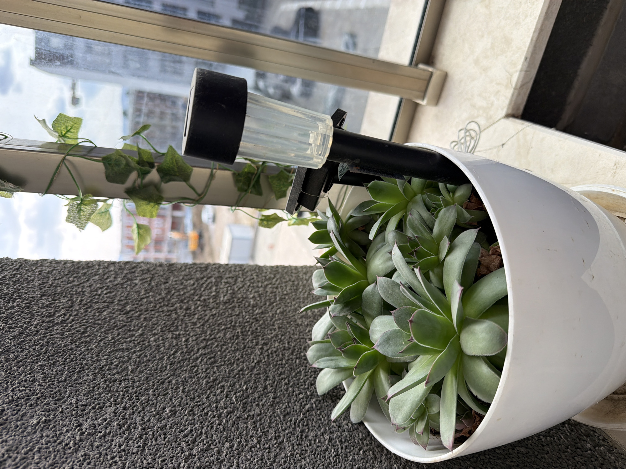 The image presents a close-up view from a balcony or window ledge in Sofia, Bulgaria, focusing on a potted plant setup against an urban backdrop under an overcast sky. In the foreground, a white, rounded plastic planter holds multiple green, multi-rosette succulent plants (likely *Sempervivum* species), which exhibit reddish-purple tips on some leaves. A black solar-powered garden light with a clear, ridged plastic lens is inserted into the soil among the succulents. To the immediate left, a dark grey, textured exterior wall or pillar is visible. The pot rests on a light-colored, possibly marble or tiled ledge, below which a dark void indicates a drop. To the right, a vertical metal frame, part of a window or balcony structure, is wrapped with an artificial green ivy garland. Beyond this frame, an urban landscape is discernible, featuring multiple multi-story buildings, some appearing residential or commercial. A construction site is visible in the mid-distance to the left, characterized by yellow heavy machinery (an excavator). Roads and vehicles are present further in the background. No individuals or animals are visible within the frame.
