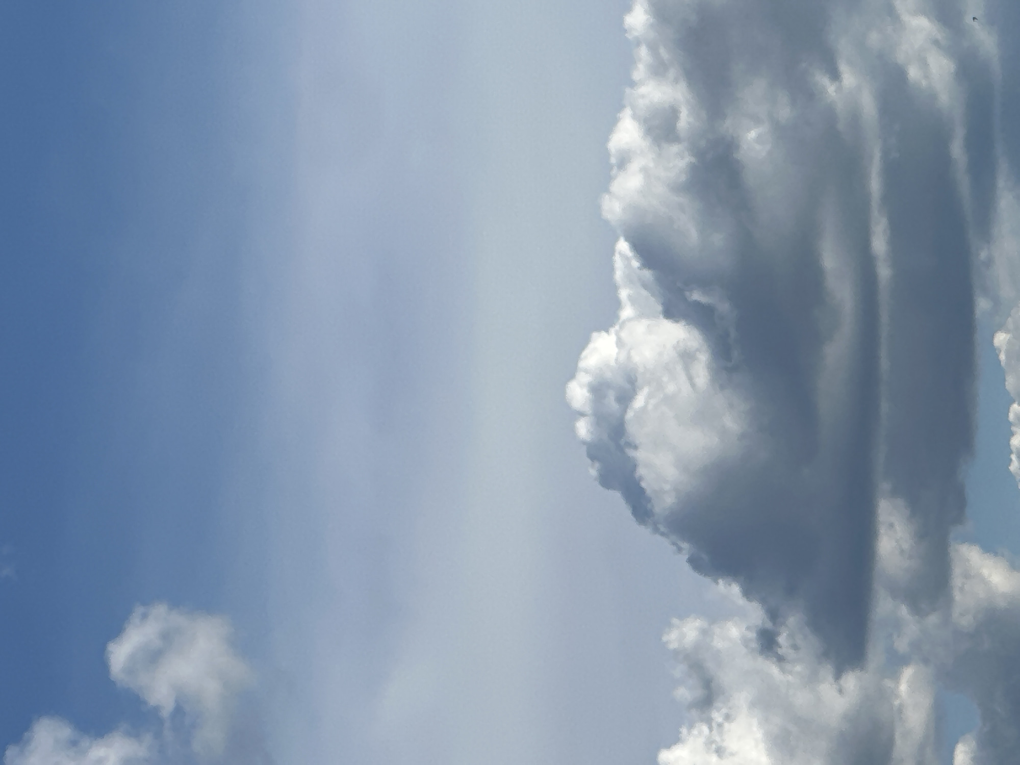 A wide-angle, eye-level shot captures a sky filled with a mix of white and gray clouds against a bright blue background. The clouds are varied in shape and density, with some appearing fluffy and bright, while others are darker and more ominous. The lower half of the frame is dominated by a thick layer of clouds, with lighter clouds scattered across the upper half. The image is a naturalistic depiction of the sky, with no discernible human presence or urban elements.