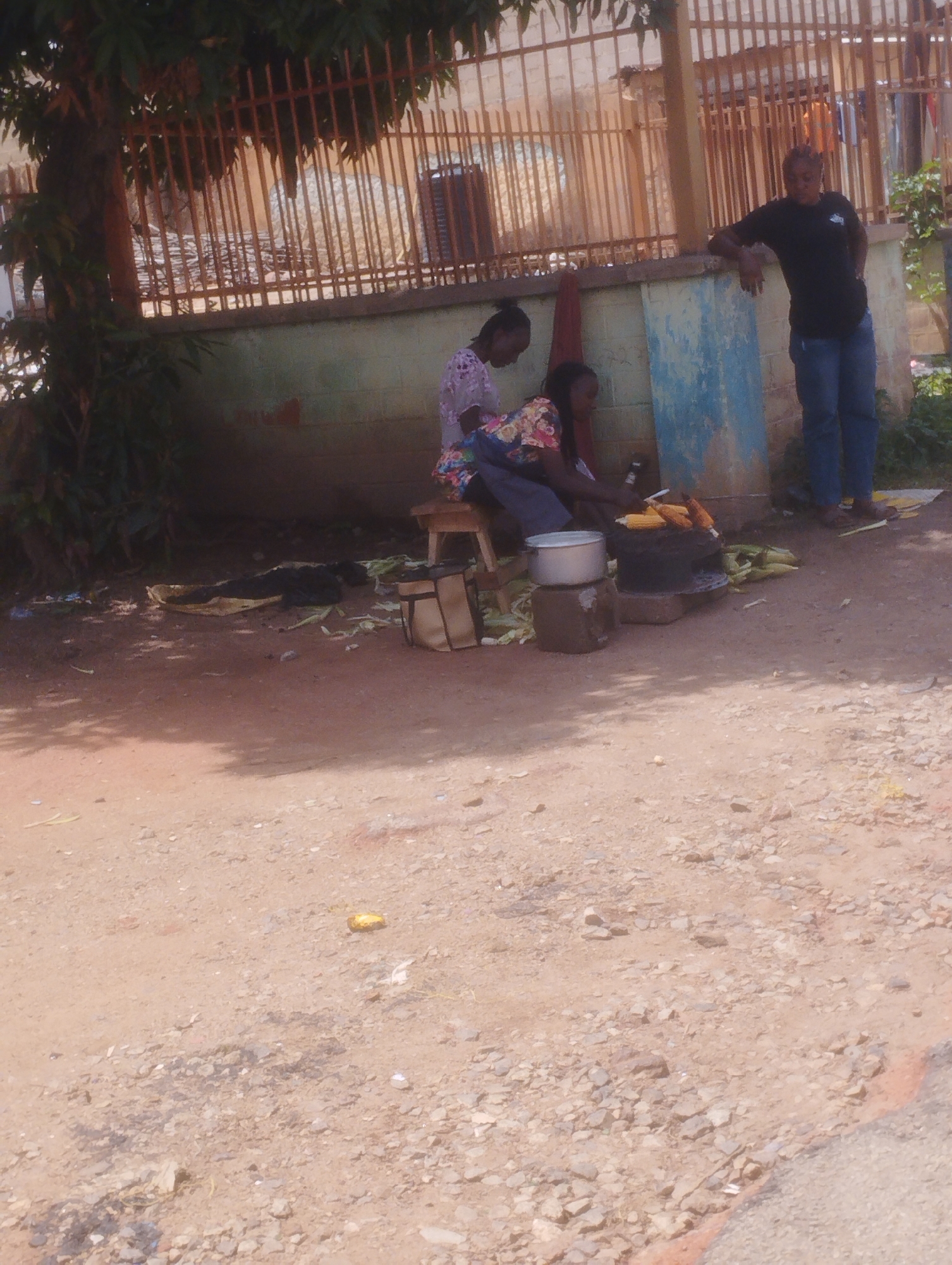 The image captures an outdoor scene in what appears to be a marketplace or roadside vending area in Jos, Nigeria. In the background, a rustic metal fence with vertical bars encloses a building with a light-colored wall, some of which is painted with a chipped light blue and green. To the left, a tree with dark green foliage partially shades the area.
The main subjects are three individuals and a food vending setup. Two women are seated on a wooden stool, engaged in preparing or selling food. One woman, wearing a colorful patterned top and a dark skirt, is seated more to the left. The other woman, to her right, wears a patterned pink and white top and a dark skirt. A third person, a man, stands to the right of the women, leaning on the wall. He is dressed in a black t-shirt and blue jeans.
The activity centers around a charcoal stove where several ears of corn are being roasted. A large silver pot is placed on top of a cinder block to the left of the stove. More unhusked corn lies on the ground around the vending area. A tan and brown bag is also visible on the ground to the right of the stool. The ground is unpaved and appears to be a mix of dirt and small stones. The lighting suggests it is daytime, with some shadows indicating the sun's position. The overall atmosphere appears casual and industrious. There is no visible text in the image.