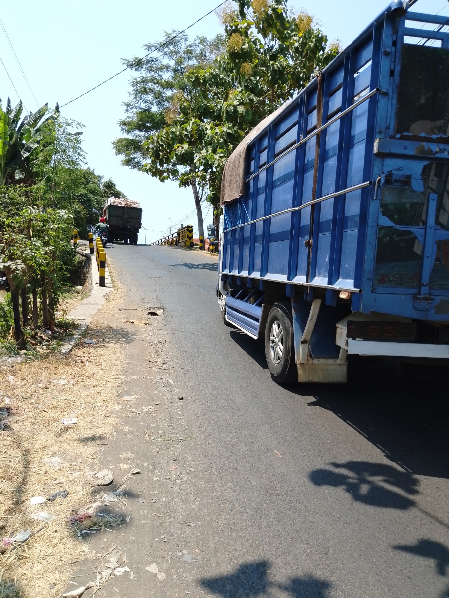 The image captures a street scene in Pasuruan, Indonesia, on a bright, sunny day. A blue truck is prominently featured in the foreground, its side railing visible, suggesting it is in motion. The truck is on an asphalt road that curves slightly uphill.
In the background, another truck, a darker color, is also moving uphill, loaded with what appears to be agricultural produce. A person wearing a red helmet is riding a motorcycle behind the loaded truck, also heading uphill. The road is bordered by a sidewalk on the left, which is covered in dry grass and scattered debris, including plastic waste. Yellow and black striped bollards line the edge of the sidewalk, marking a boundary.
Lush green trees and vegetation are visible on both sides of the road. Some trees have yellow flowers. The sky is clear and blue. The overall impression is a typical daytime scene on a road in a rural or semi-urban area, possibly a transport route for goods.