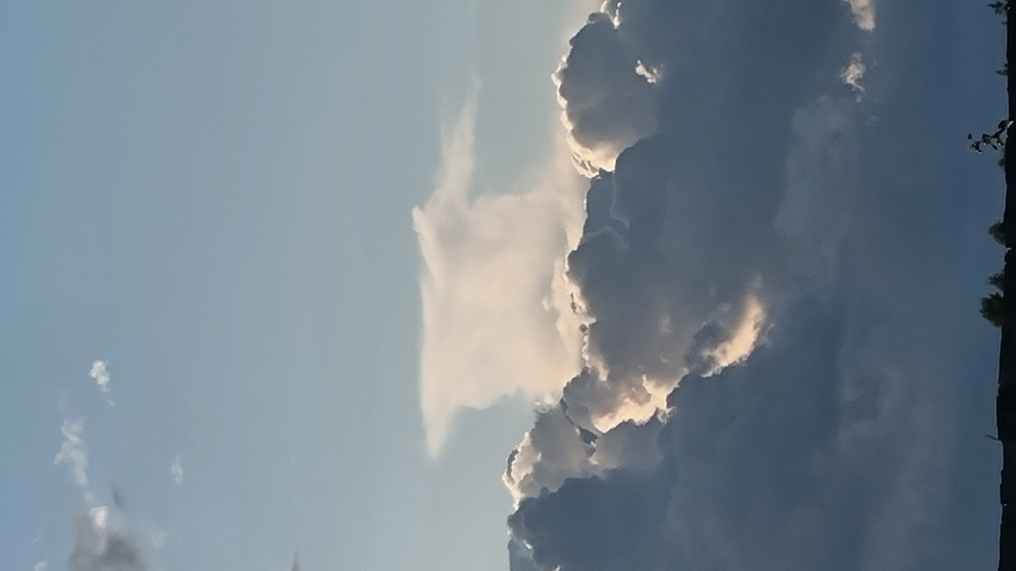 A vertical shot captures a sky filled with dramatic clouds. The lower portion of the frame is dominated by dark, heavy clouds, some illuminated by sunlight, creating a textured, volumetric appearance. Above these, lighter, wispy clouds drift across a pale blue sky. A prominent, uniquely shaped white cloud, resembling a mushroom or an anvil, stands out in the upper middle of the frame, distinct from the surrounding formations. The horizon at the very bottom is a dark silhouette, suggesting a landscape beneath the sky. The image appears to be taken outdoors, likely during the daytime, with the sun positioned to cast light and shadows on the clouds. The scene is devoid of any people or specific urban landmarks in the foreground.
