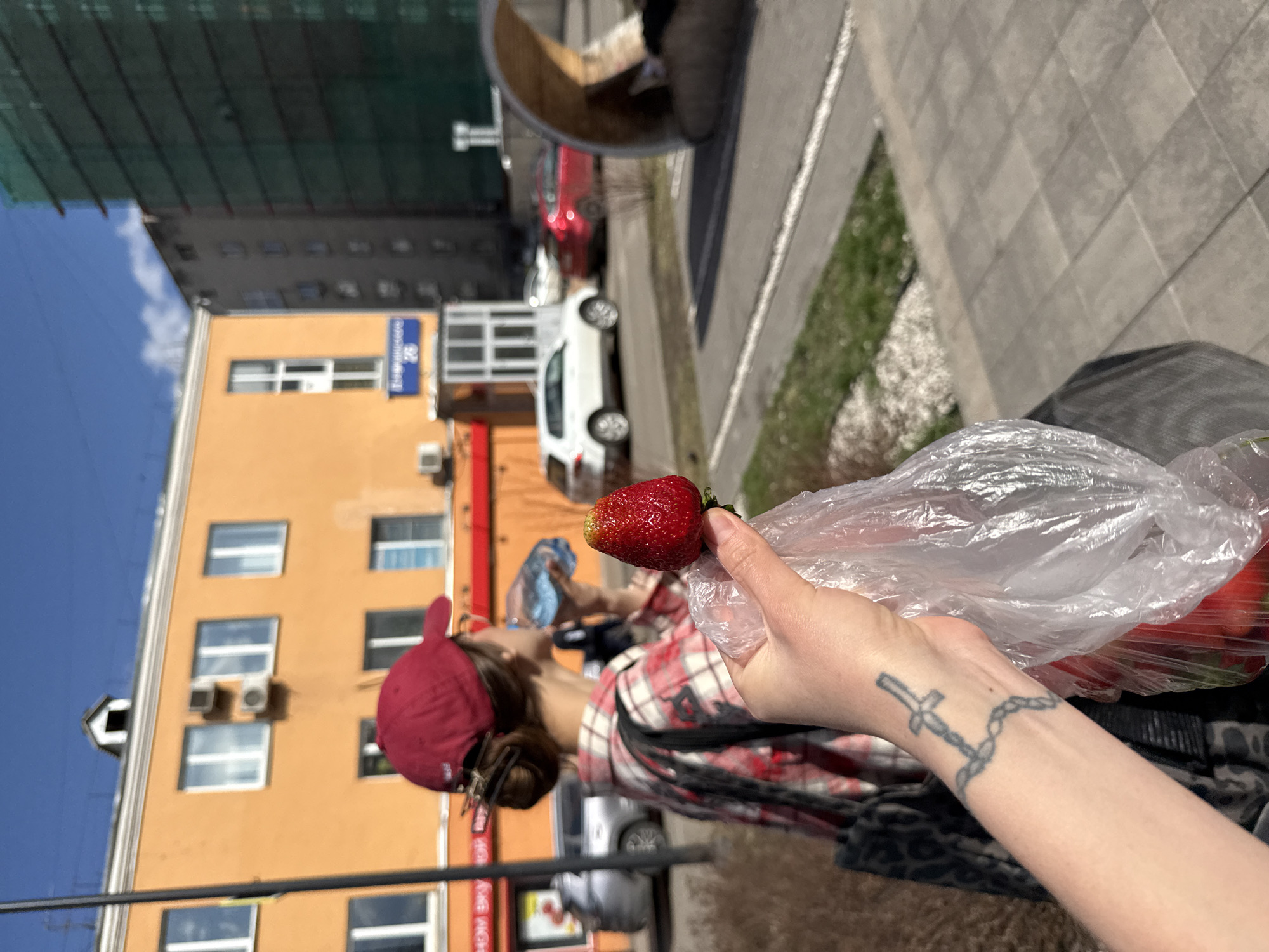 A woman holding a plastic bag of strawberries stands on a sidewalk in Krasnoyarsk, Russia. She holds a strawberry near her face. The woman wears a red and white plaid shirt and a red cap. Her arm has a cross tattoo on the wrist. An orange building with multiple windows is behind her. Cars are parked along the street. Above the orange building, is a taller building covered in green netting. A street sign labeled "Ryabinovaya" is visible on the orange building.