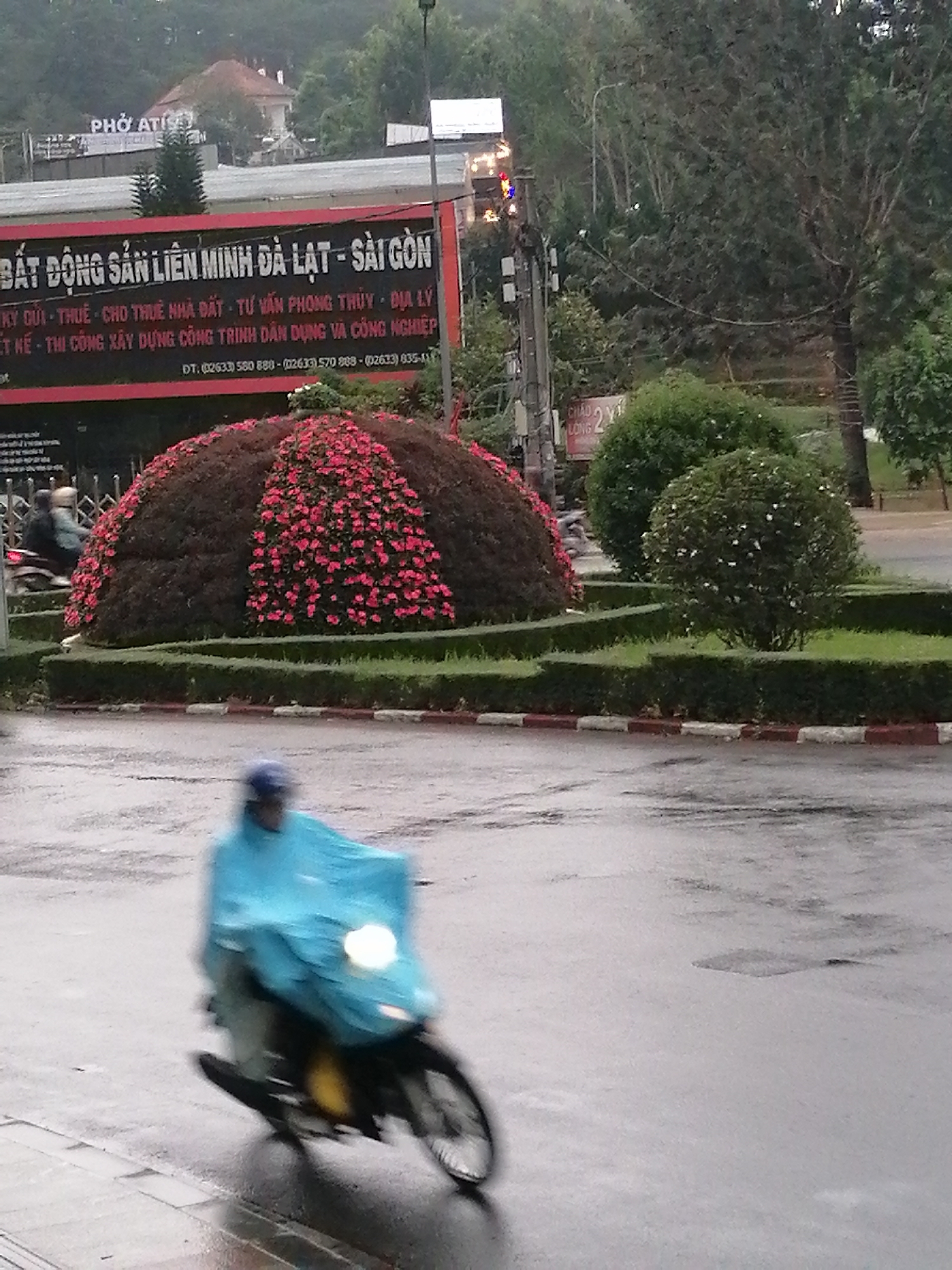 The image captures an overcast, possibly rainy day in Da Lat, Vietnam, characterized by a wet asphalt road and subdued lighting. In the foreground, a person on a motorcycle, wearing a bright blue rain poncho and a helmet, rides towards the left. The motion blur indicates movement, with the motorcycle's headlight casting a soft glow.
The scene features a lush urban landscape. To the right of the road, a well-maintained median or park area is visible, edged with red and white painted curbs. It contains manicured green hedges and several round bushes, some adorned with small white flowers. A large, dome-shaped ornamental planter, densely covered in dark foliage and featuring vertical stripes of vibrant red and pink flowers, dominates the midground. Another person on a motorcycle is partially visible behind this planter.
In the background, a large black billboard with white Vietnamese text is prominently displayed. The text advertises "BẤT ĐỘNG SẢN LIÊN MINH ĐÀ LẠT - SÀI GÒN" (Real Estate Alliance Da Lat - Saigon), offering services like "KỲ QUI - THUÊ - CHO THUÊ NHÀ ĐẤT - TƯ VẤN PHONG THỦY - ĐỊA LÝ" (Appraisal - Rent - House for Rent - Feng Shui Consulting - Geography) and "THI CÔNG XÂY DỰNG CÔNG TRÌNH DÂN DỤNG VÀ CÔNG NGHIỆP" (Construction of Civil and Industrial Works), along with phone numbers. Above it, a smaller sign reads "PHỞ ATÍS". Dense green trees and foliage cover the hills behind the billboard, with a building featuring a red roof peeking through the trees in the far background. A street lamp post is also visible on the right, with a partially visible sign that reads "CHAO LONG".