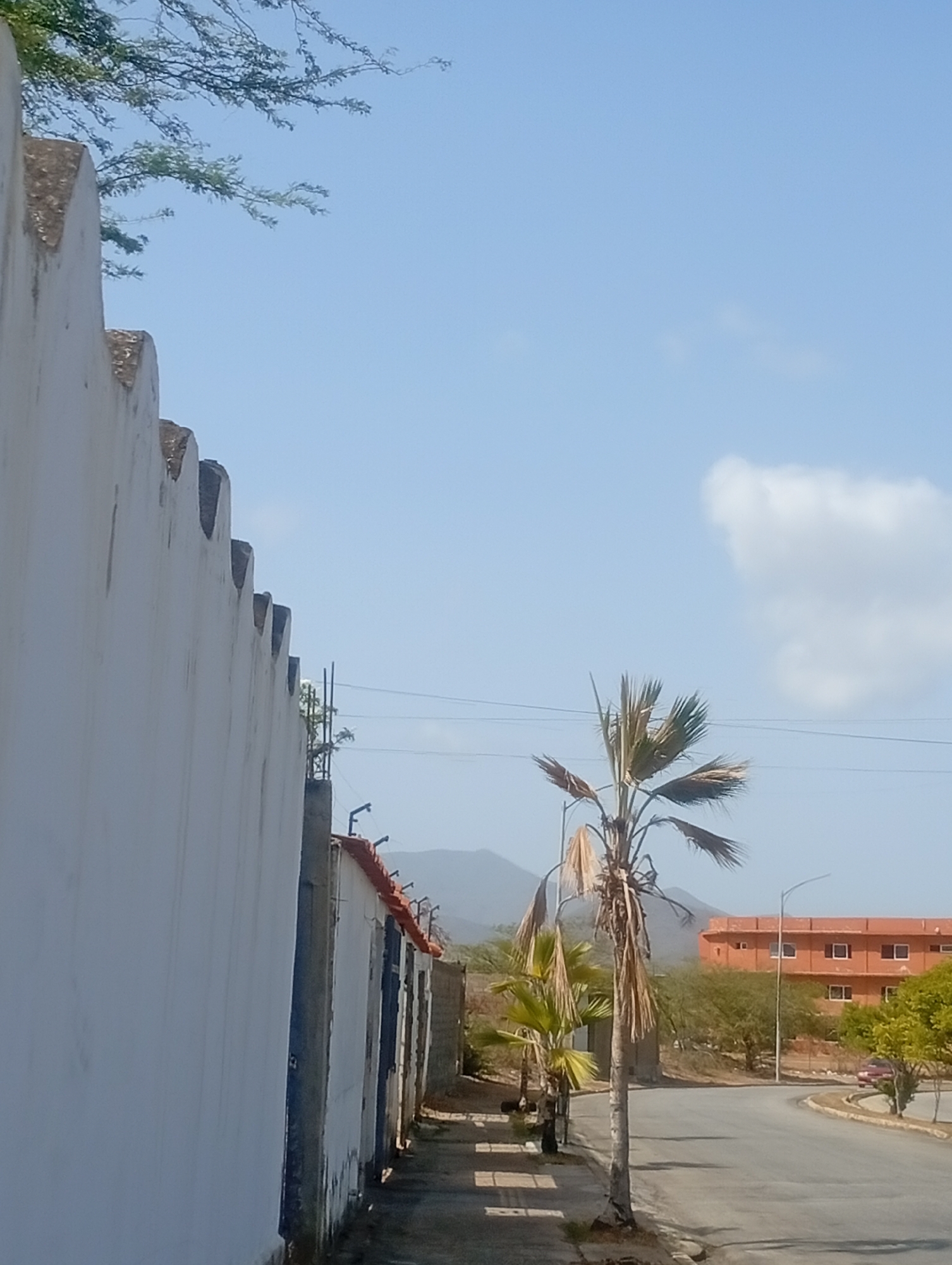 The image displays a sunny daytime scene in Juan Griego, Venezuela, characterized by a mix of natural vegetation and urban infrastructure. On the left, a prominent, light-colored wall with a distinctive jagged, castellated top edge stretches along the side of the frame, hinting at a property boundary. Above this wall, in the upper left, green tree branches with small leaves are visible against the bright blue sky.
In the mid-ground on the right, two palm trees stand on the side of an asphalt road that curves gently to the right. The larger palm tree in the foreground exhibits numerous dried, brownish fronds, while a smaller, greener one is situated slightly behind it. Utility poles and power lines are visible spanning across the sky, and a modern street light stands near the road.
Further into the background, a multi-story building with a vibrant orange-red color and multiple windows is a prominent feature on the right side. The surrounding landscape includes sparse, dry-looking vegetation and, in the hazy distance, mountains rise under the clear sky. The sky is a brilliant blue, with one small, white cumulus cloud visible in the upper right quadrant. A red car is partially visible on the curved road.
The scene appears calm and devoid of people or explicit activity, suggesting a quiet moment during the day, likely mid-morning or afternoon, given the bright light and clear sky. The dry vegetation, palm trees, and the architecture all contribute to the impression of a warm, perhaps arid or semi-arid, climate typical of the region. No visible text is present in the image.