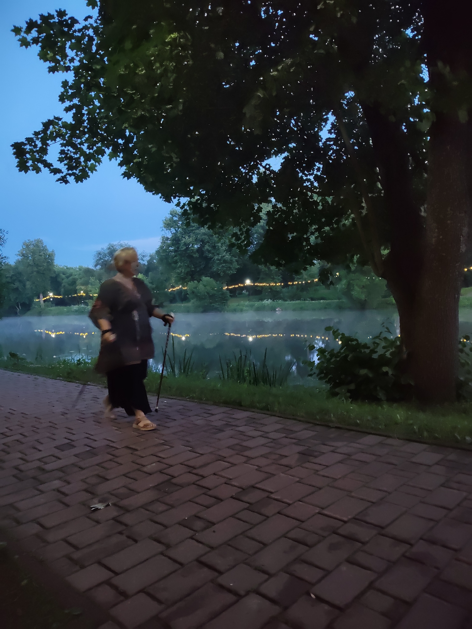 A woman is shown Nordic walking on a paved path next to a misty body of water in Chekhov, Russia. The scene takes place at dusk, with string lights visible across the water and in the background trees. The woman is wearing dark clothing and sandals and is using Nordic walking poles. The pathway is made of red brick pavers, and there is grass and foliage along the water's edge. A large tree with dark leaves is in the foreground on the right side of the image. The overall atmosphere is serene and dimly lit.