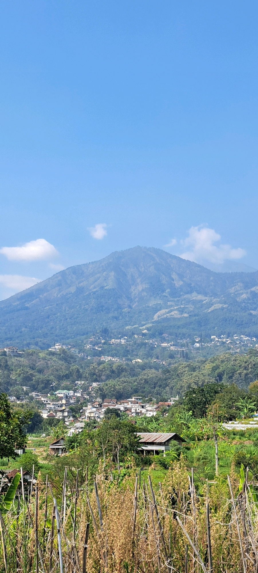 A landscape photograph captures a mountainous region in Gambiran, Indonesia, under a clear blue sky with scattered clouds. In the foreground, dry, stalk-like vegetation dominates, with hints of green foliage interspersed. Behind this, a village with numerous houses, many featuring red-tiled roofs, is nestled into the lush green hillsides. The village appears to be built on a terraced landscape, with houses spaced out amongst the trees. In the background, a large, imposing mountain rises, its slopes covered in dense vegetation. The lighting suggests it is daytime, likely mid-morning or afternoon, with soft shadows cast across the terrain. The overall impression is one of a tranquil, rural environment with human settlement integrated into the natural mountainous landscape.