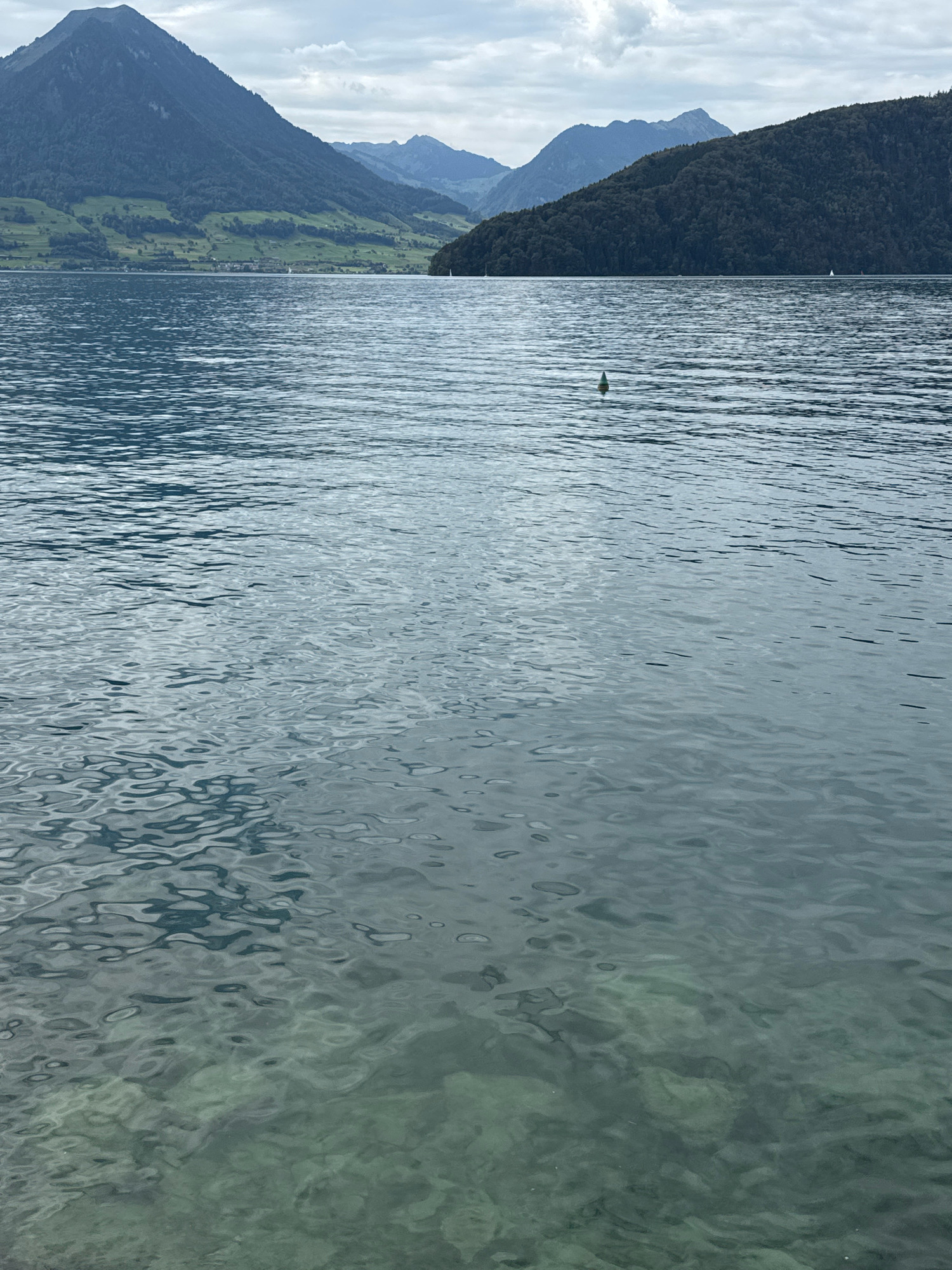 The image depicts a serene lake scene with mountains in the background, likely taken from the shores of Vitznau, Switzerland, a town nestled on the shores of Lake Lucerne at the foot of Mount Rigi. The foreground is dominated by the clear, rippling waters of the lake, with the rocky bed visible beneath the surface in the lower half of the frame. A small green buoy floats on the water in the middle distance. Beyond the lake, a lush, tree-covered hill rises, its dark green foliage contrasting with the lighter green, terraced slopes of the mountains in the far distance. The sky is overcast with scattered clouds, casting a soft, diffused light over the landscape. There are no people or active vessels visible in the image, contributing to the overall sense of tranquility.