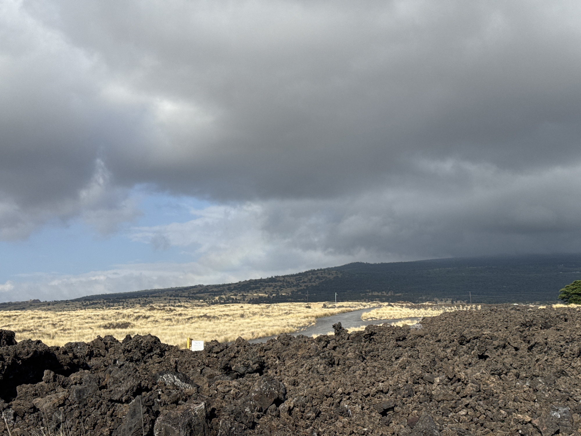This is a wide-angle, eye-level outdoor shot of a volcanic landscape under a cloudy sky. In the foreground, a dense field of dark, jagged volcanic rocks dominates the lower third of the frame. A narrow, paved road winds through the middle ground, curving to the right and disappearing behind a hill. This road is flanked on both sides by dry, golden-yellow grass, creating a stark contrast with the dark rocks. In the distance, a dark green, tree-covered hill rises, its peak obscured by heavy, gray clouds that cover most of the sky. A sliver of pale blue sky is visible towards the left horizon. The scene appears to be in a remote, undeveloped area, likely a national park or preserve, given the natural, volcanic terrain. There are no people or animals visible in the image. The overall atmosphere is somewhat somber due to the overcast sky and the desolate volcanic terrain.
