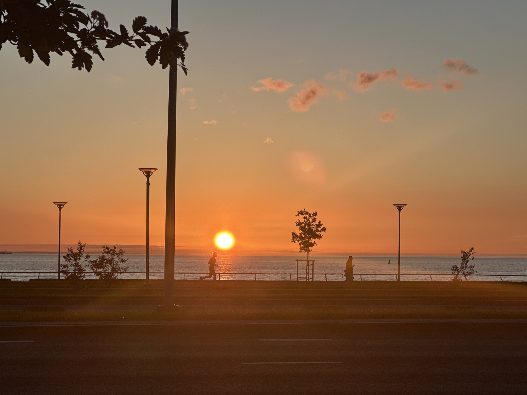The image depicts a sunset scene over Tallinn Bay in Tallinn, Estonia, specifically along Pirita Road. In the immediate foreground, a dark asphalt road with faint white lane markings stretches across the bottom of the frame. Above the road, a grassy median strip separates it from a promenade, which features a dark metal railing running horizontally along its length.
Silhouetted against the bright sunset, a person is jogging from left to right on the promenade, positioned to the left of the sun. Further to the right on the promenade, another person is walking from right to left, looking down, and appears to be carrying a bag.
Several streetlights are present: a large, dark lamppost dominates the mid-left portion of the frame, partially obscured by a silhouetted tree branch with leaves and blossoms hanging from the top-left. Two additional modern-style lampposts with disc-shaped tops are visible, one to the left of the sun and another on the far right. A slender, young tree stands on the promenade between the jogger and the walker, and another small tree or bush is on the far right of the promenade. A sparse bush is on the grassy strip to the left.
The sun, a bright, intense orange circle, is low on the horizon, slightly left of the image's horizontal center, casting a brilliant reflection across the calm waters of the bay. The sky transitions from a fiery orange at the horizon through peach tones to a light blue at the top of the frame. Scattered, small, pinkish clouds are visible in the upper-right sky. The vast body of water, the Baltic Sea, stretches to the horizon, with a faint, dark line suggesting distant land or a breakwater to the far left and a small buoy in the water to the right.