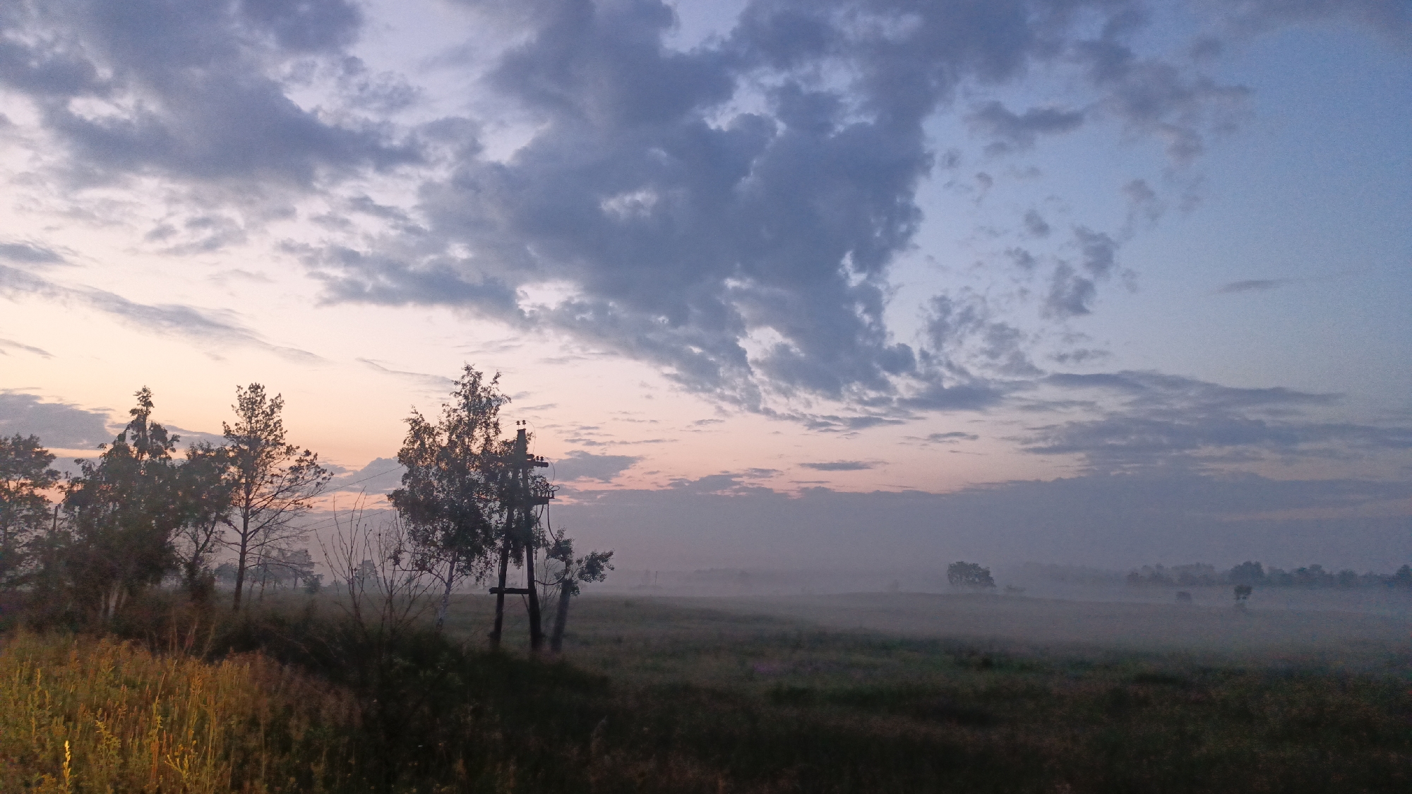 The image depicts a rural landscape at dusk. The sky is filled with a mix of dark gray and light pink clouds, transitioning to a pale blue near the horizon. A gentle mist blankets the open field in the mid-ground, obscuring distant trees and a single, solitary tree in the far distance. In the foreground, on the left side of the frame, a cluster of trees stands silhouetted against the twilight sky, with one tree notably featuring a wooden pole structure, possibly an old utility pole or a support for some unknown purpose. The ground in the immediate foreground is covered in tall, dry grasses and vegetation, illuminated by the fading light. There are no people or animals visible in the scene. The environment suggests a natural, undeveloped area.