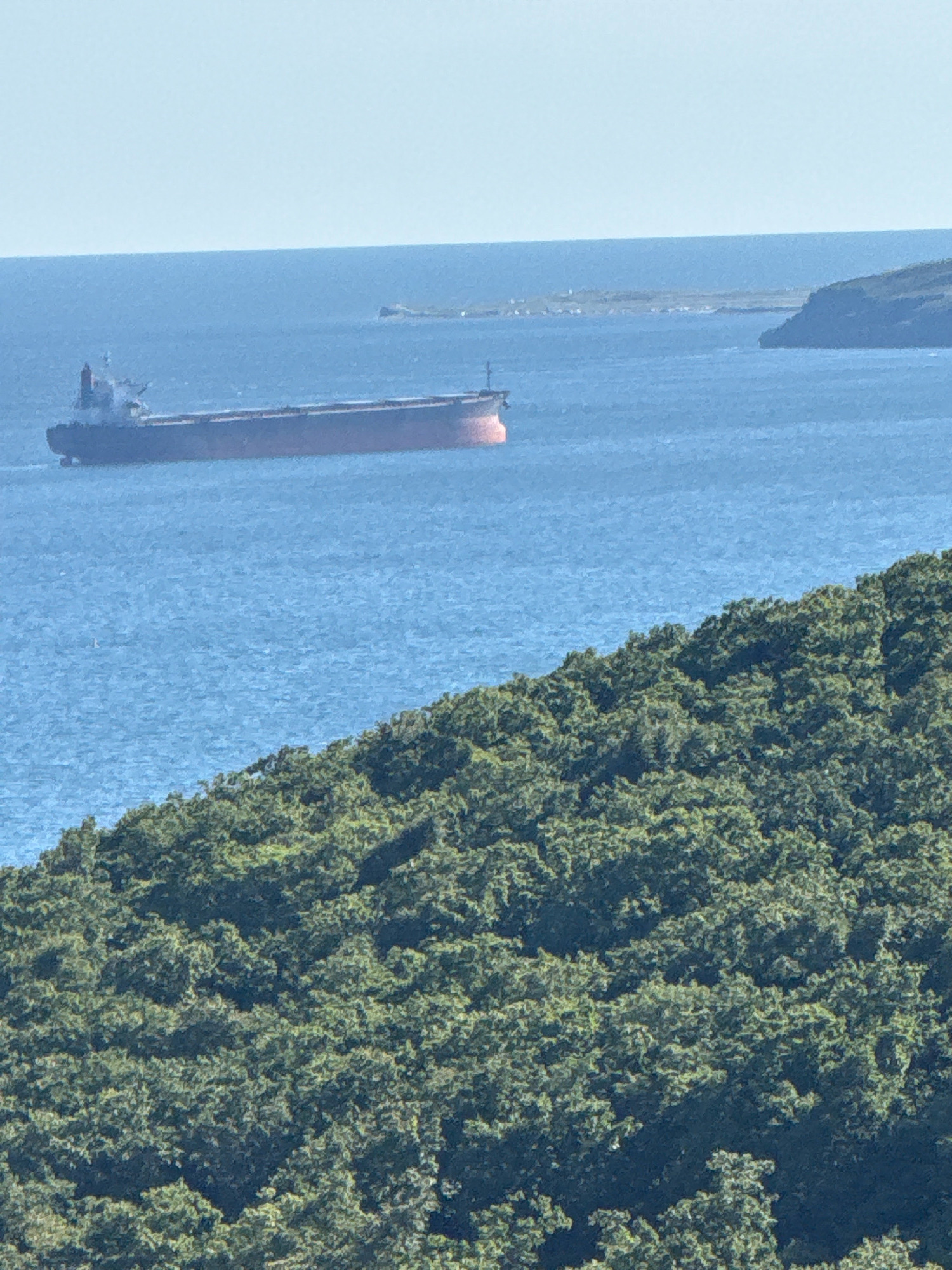A cargo ship, appearing to be a bulk carrier, is visible on the blue sea in the distance. It has a dark hull and a red-orange cargo hold. The ship is sailing on the water. In the foreground, a densely forested hillside slopes downwards towards the sea. The trees are a vibrant green. In the far distance, there is a faint outline of land with some structures and a small island with what appears to be a lighthouse. The sky is clear and pale blue. The overall scene suggests a coastal view. This view is likely from the coastline of Vladivostok, Russia, given the presence of a large cargo ship in the water and the general geography which is consistent with the city's port.
