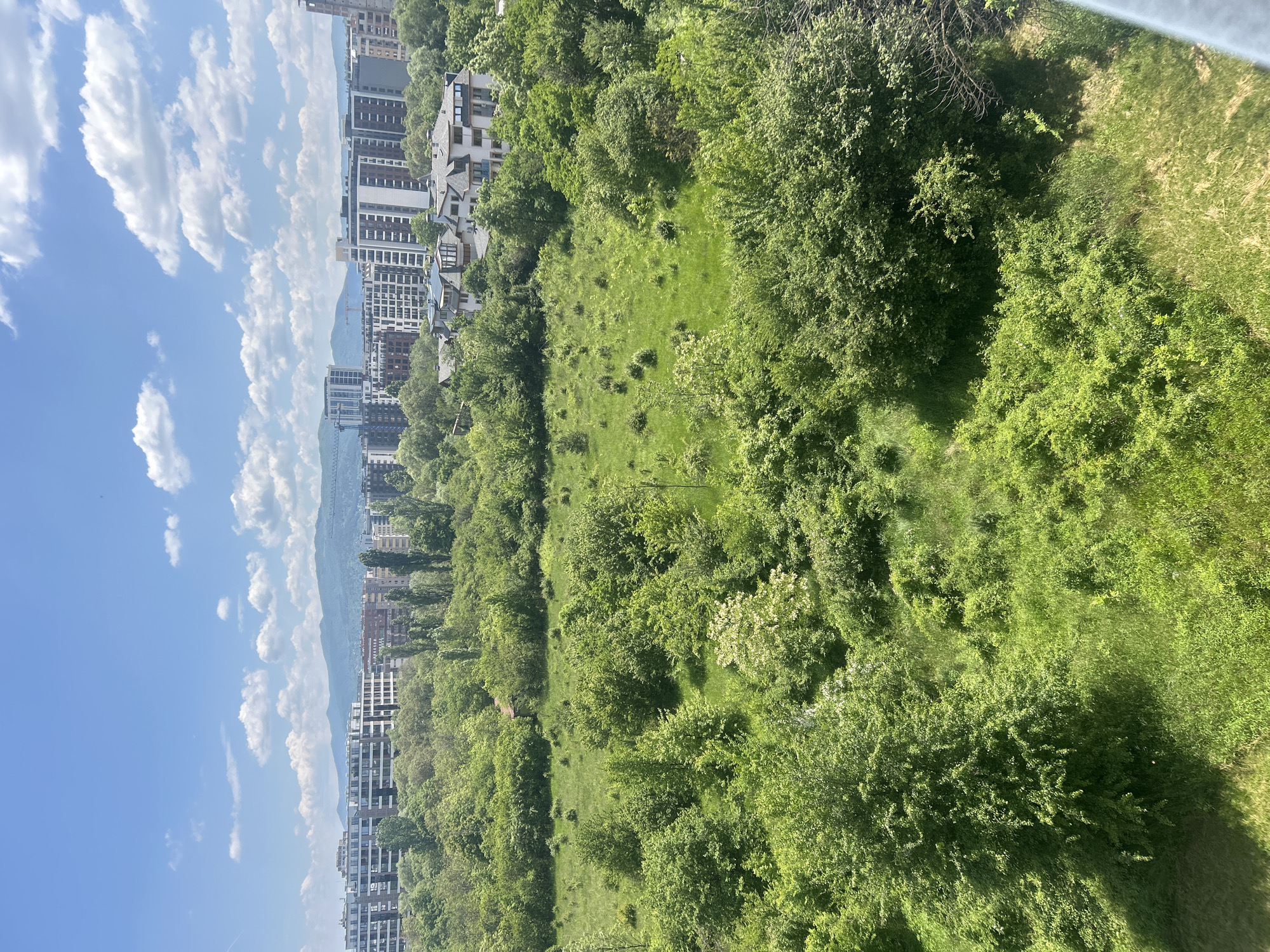 The image captures an elevated view of an urban area transitioning into a green space. On the left, multiple high-rise buildings of varying heights are visible, suggesting a residential or commercial district. Behind these buildings, distant mountains create a backdrop.
The right side of the image is dominated by a mix of trees, bushes, and a patch of grassy terrain, resembling a park or undeveloped area. The vegetation is dense and appears lush. The sky above is blue with scattered white clouds. The overall atmosphere is bright and sunny. The location is unknown.